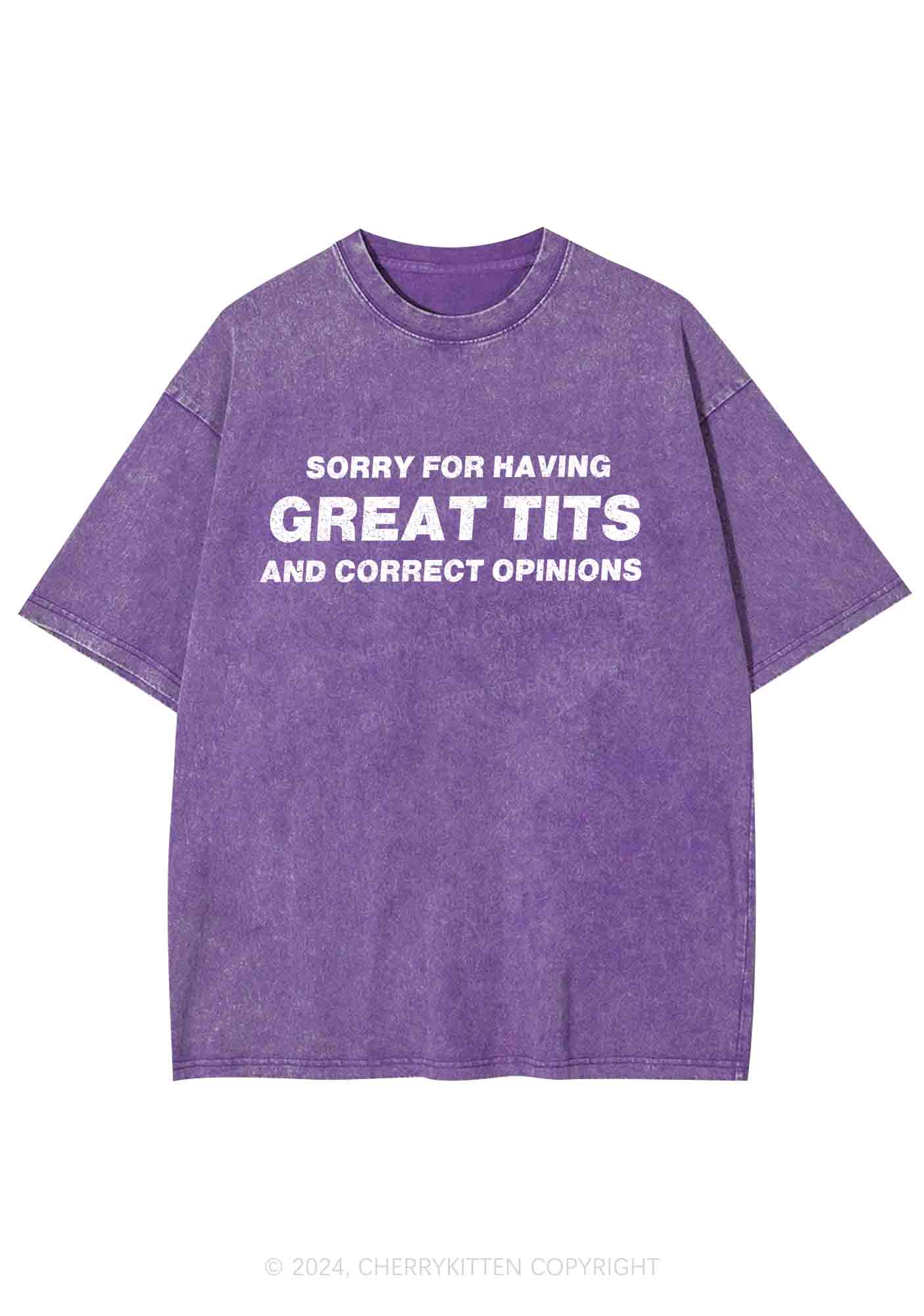 Sorry For Having Correct Opinions Y2K Washed Tee Cherrykitten