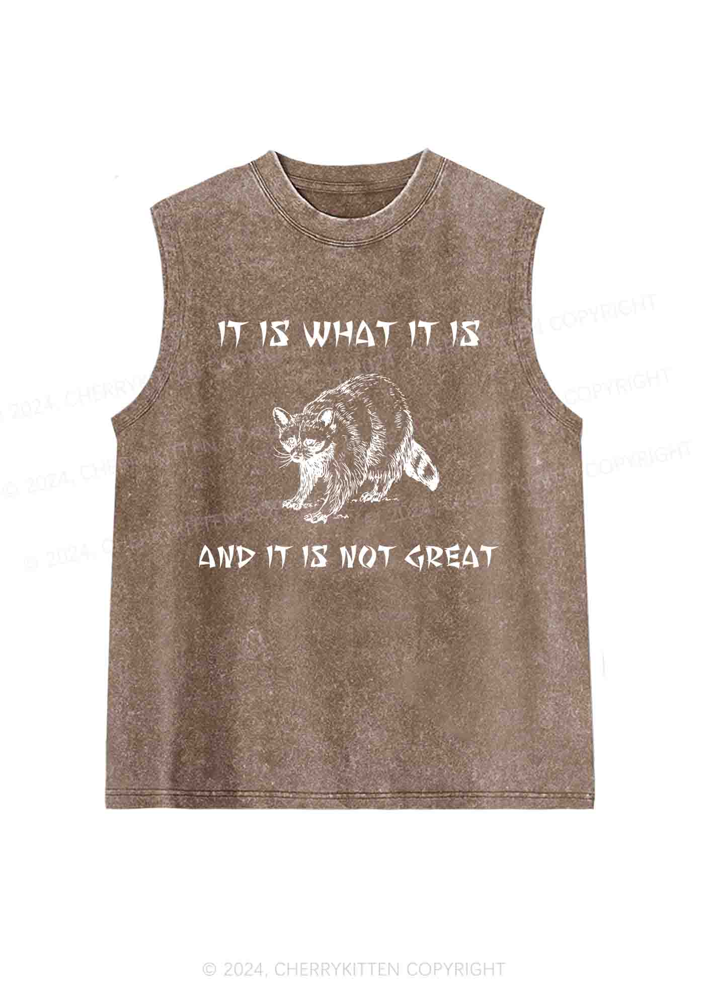 It Is What It Is And It Is Not Great Y2K Washed Tank Cherrykitten