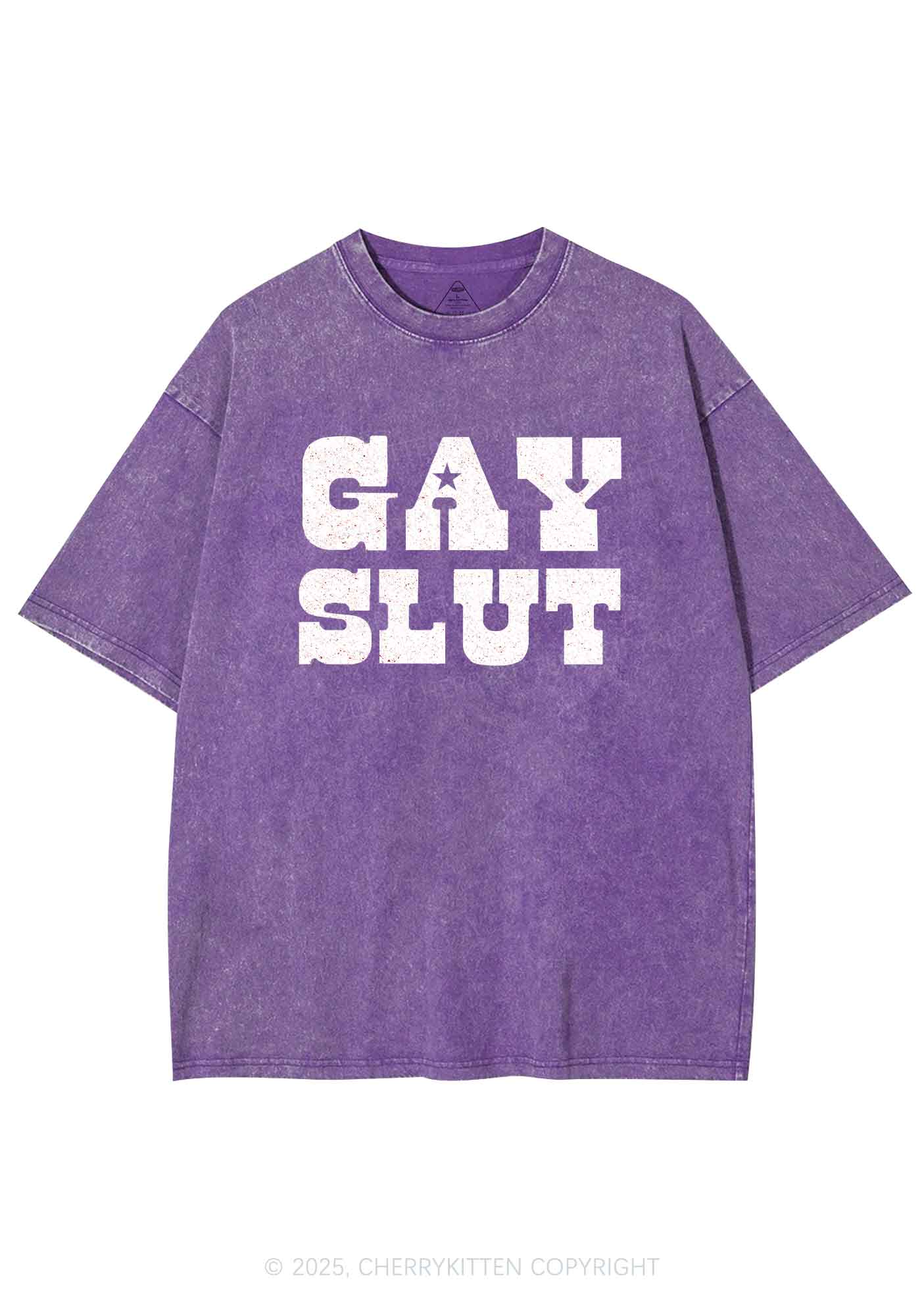 Gay Slxt Pride Y2K Shirts Washed Tee Cherrykitten