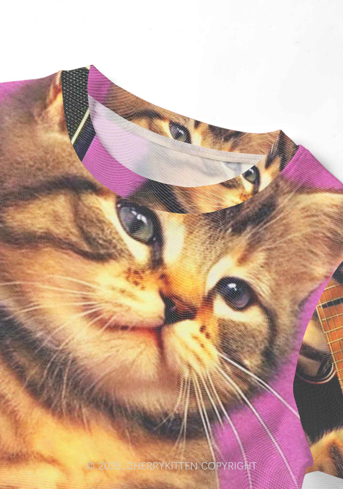 Rock Kitten Y2K Mesh Crop Top Cherrykitten