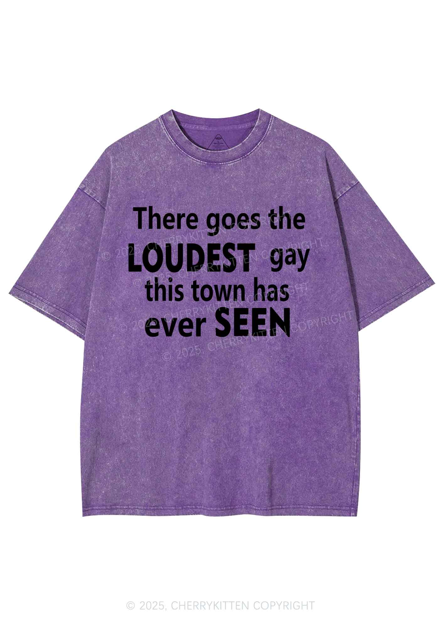 The Loudest Gay Y2K Shirts Washed Tee Cherrykitten