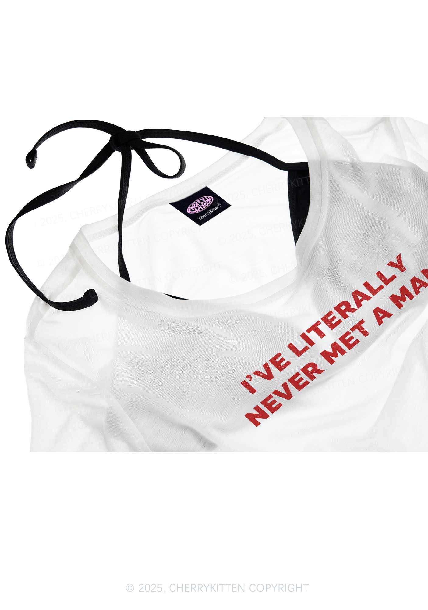 Never Met A Man Pride Y2K Sheer Crop Tee Cherrykitten