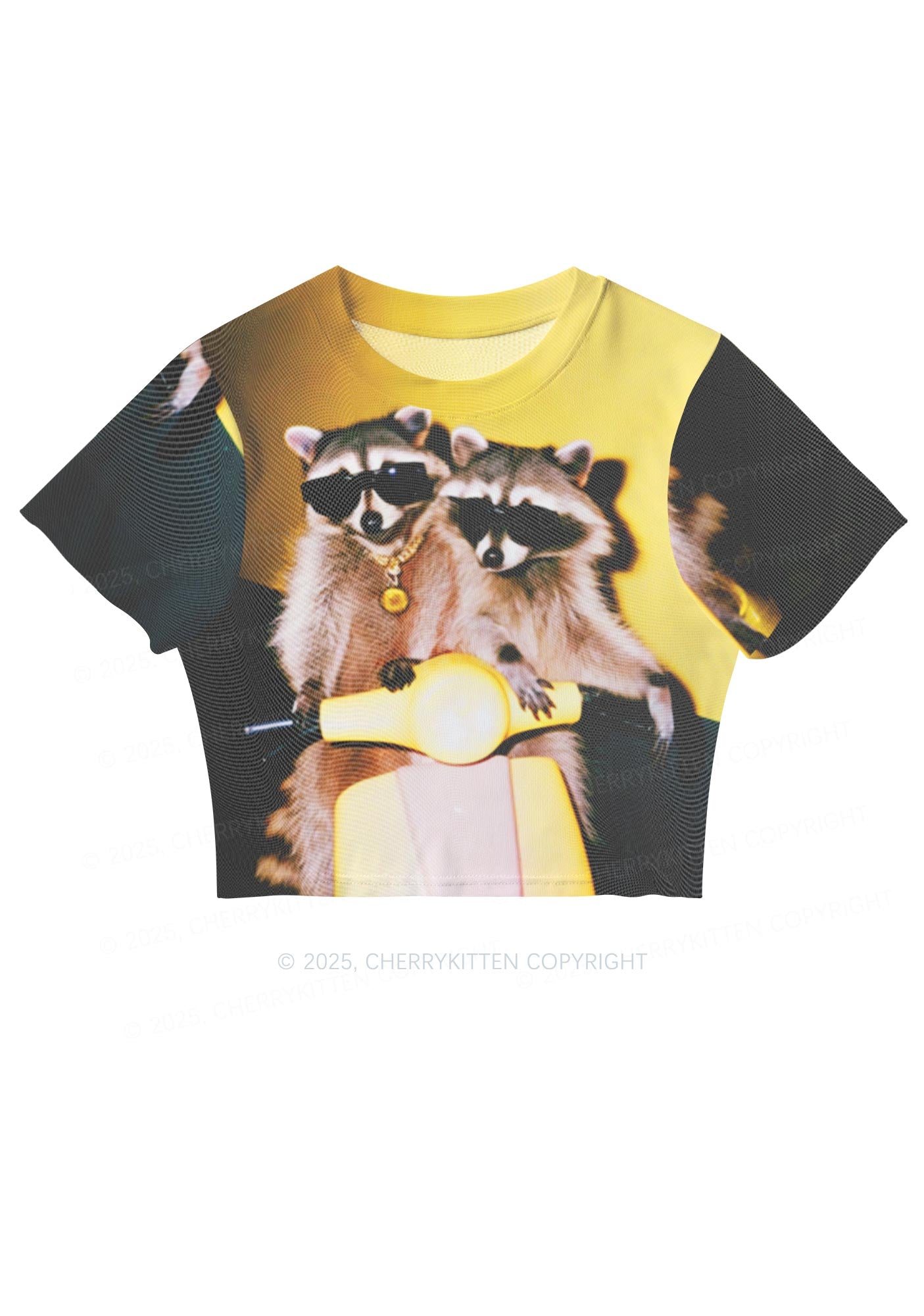 Raccoon Riders Y2K Mesh Crop Top Cherrykitten