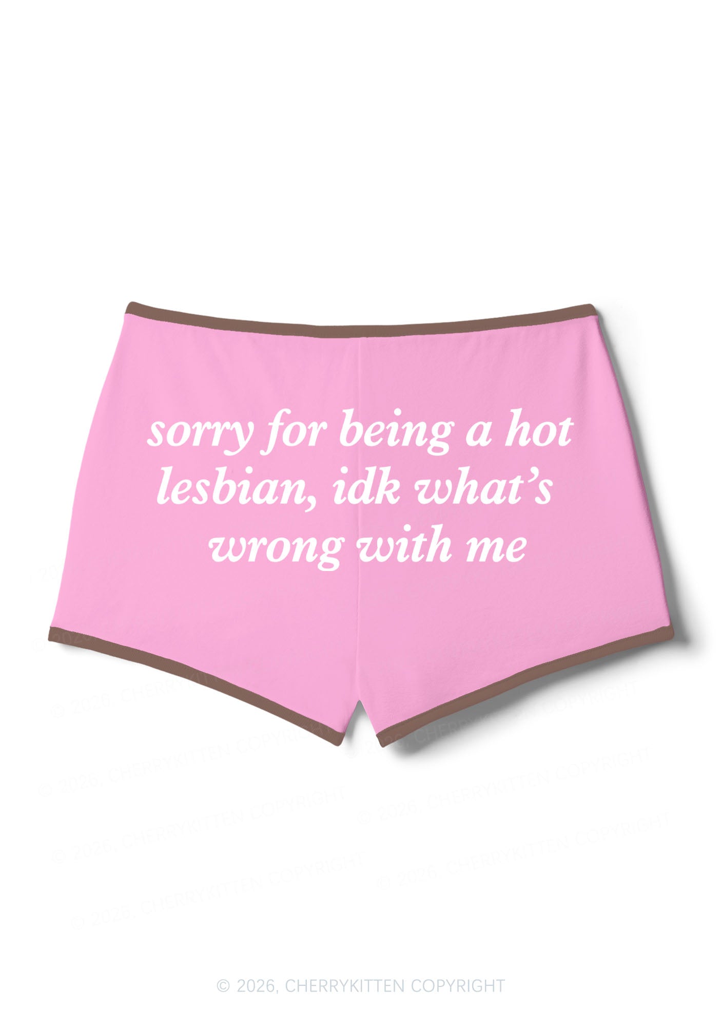 Sorry For Being Hot Lesbian Pride Y2K Booty Shorts Cherrykitten