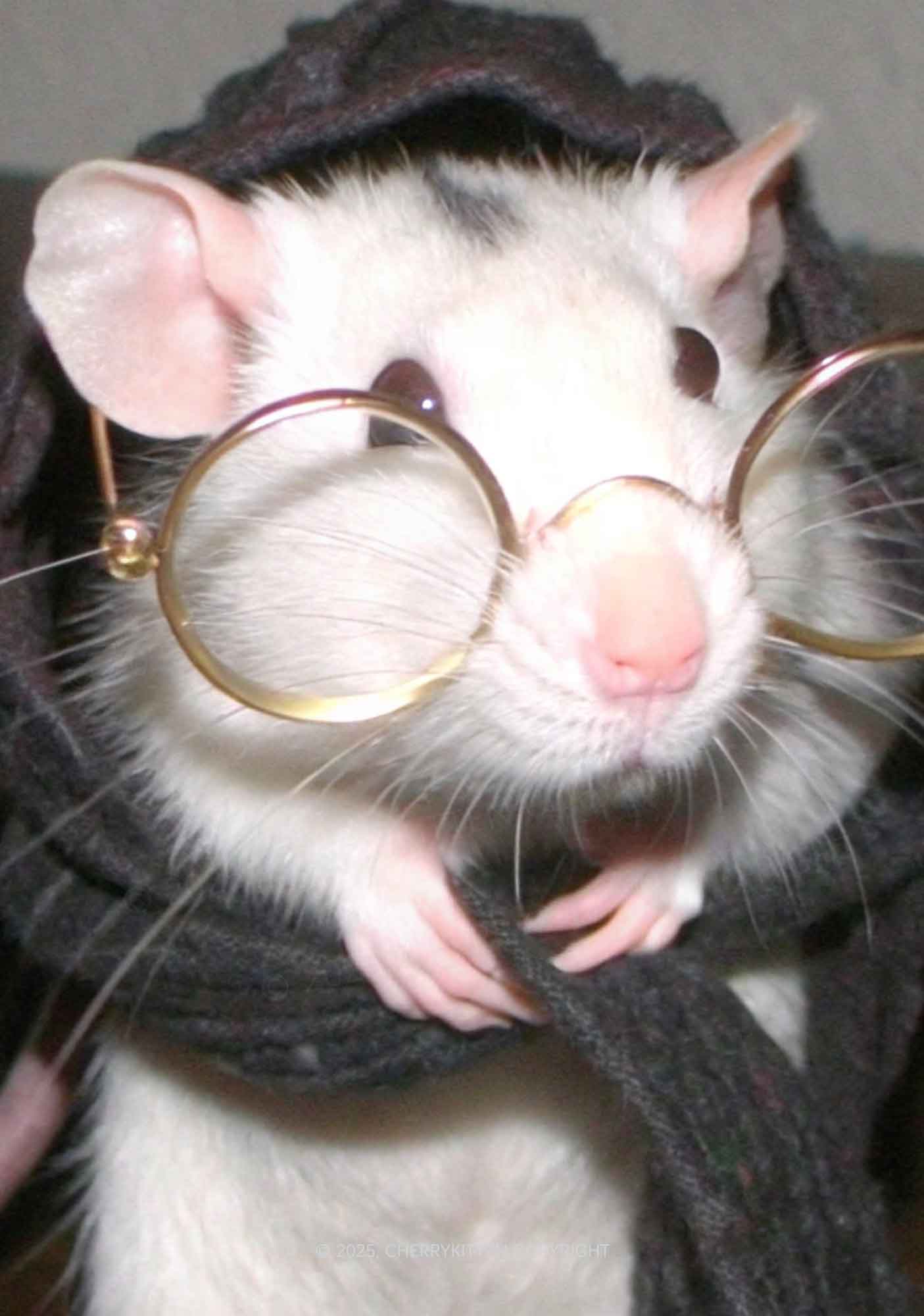 Glasses Rat Y2K Mesh Long Sleeve Crop Top Cherrykitten