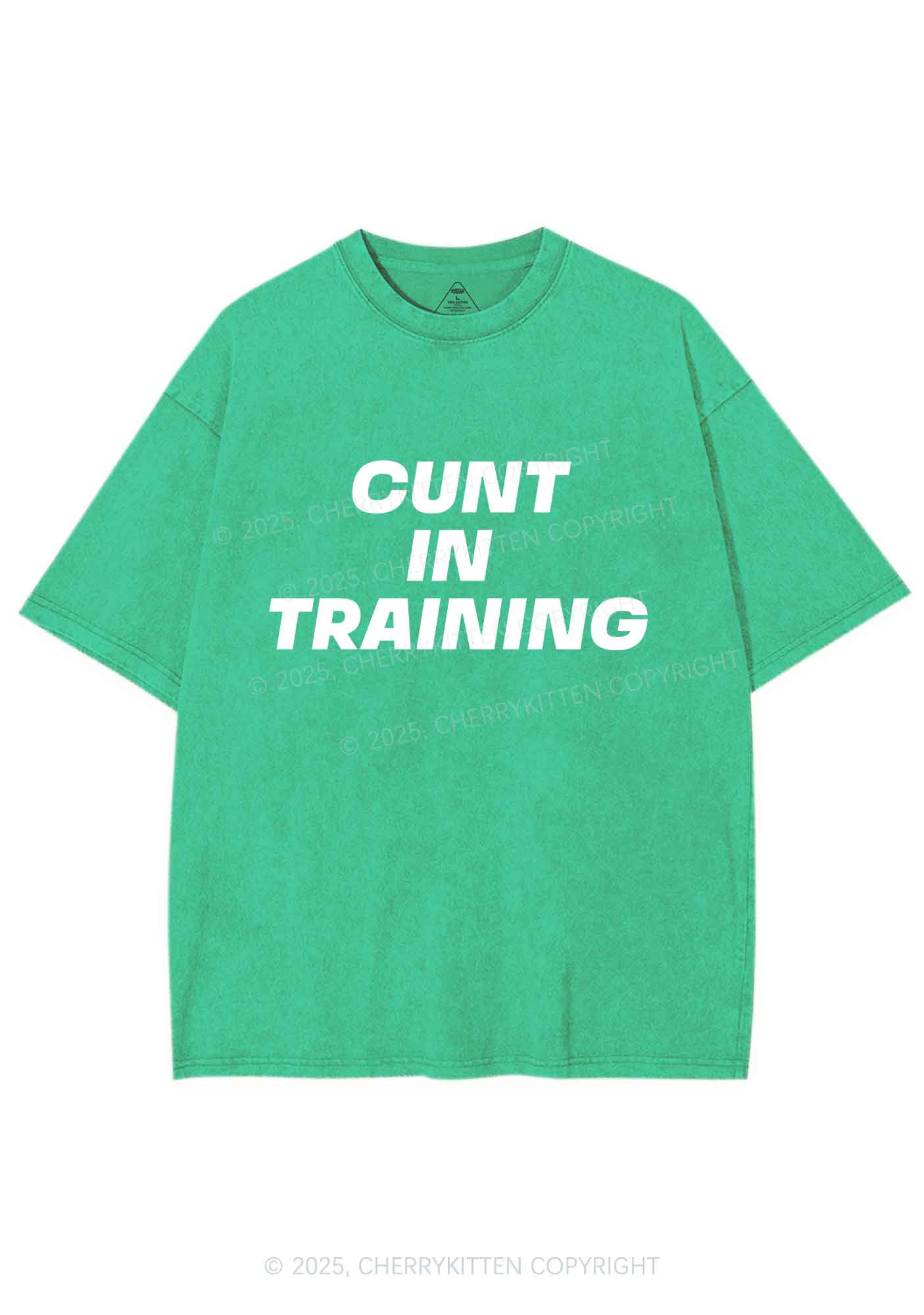 Cxxt In Training Y2K Shirts Washed Tee Cherrykitten