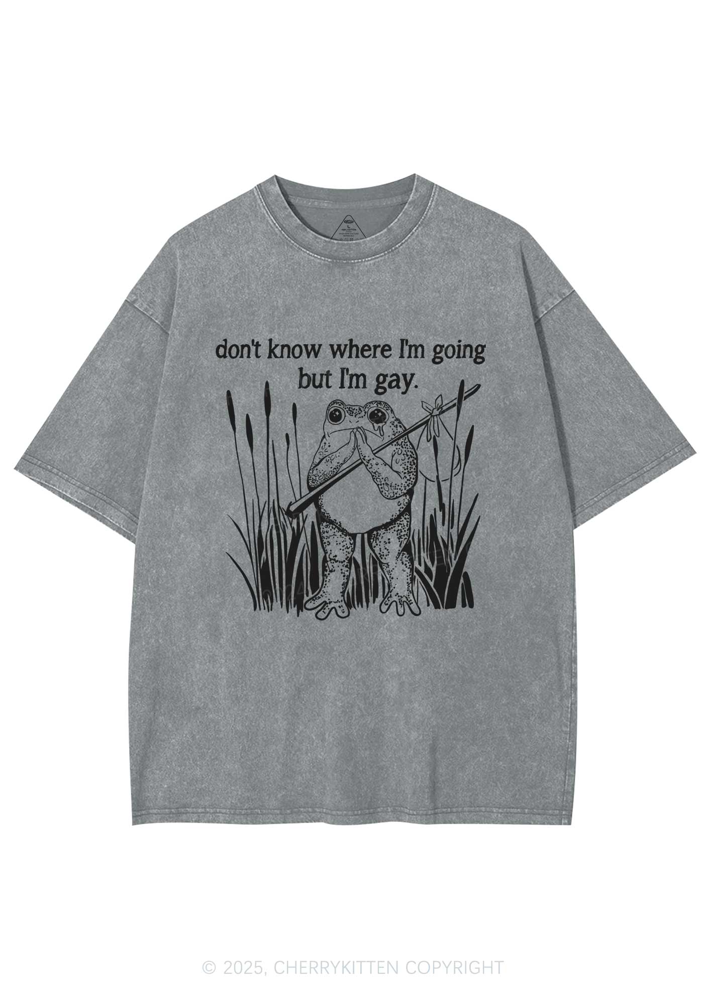 But I Am Gay Frog Pride Y2K Washed Tee Cherrykitten