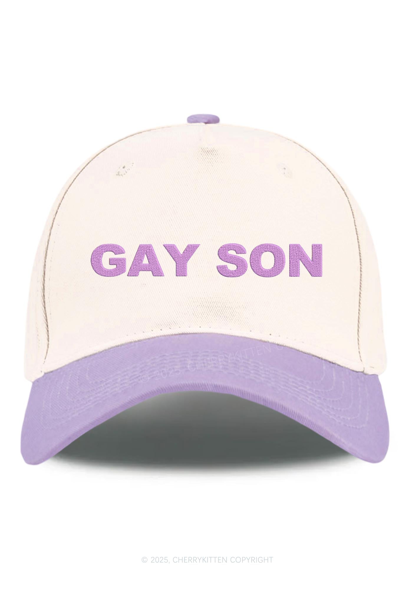 Embroidered Gay Son Pride Y2K Color Block Baseball Cap Cherrykitten