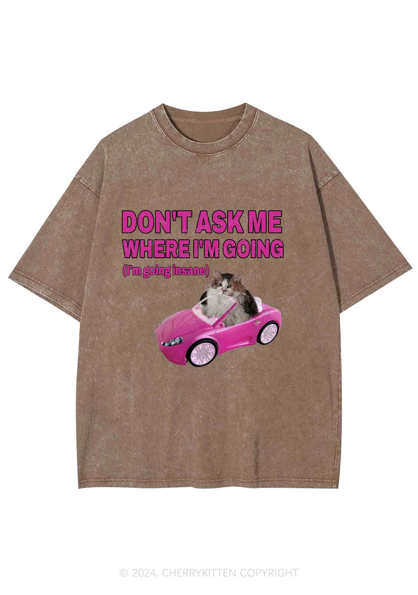 I'm Going Insane Y2K Washed Tee Cherrykitten