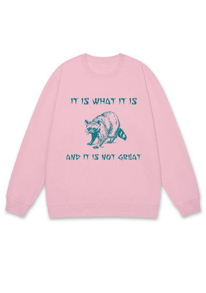 It Is What It Is And It Is Not Great Y2K Sweatshirt