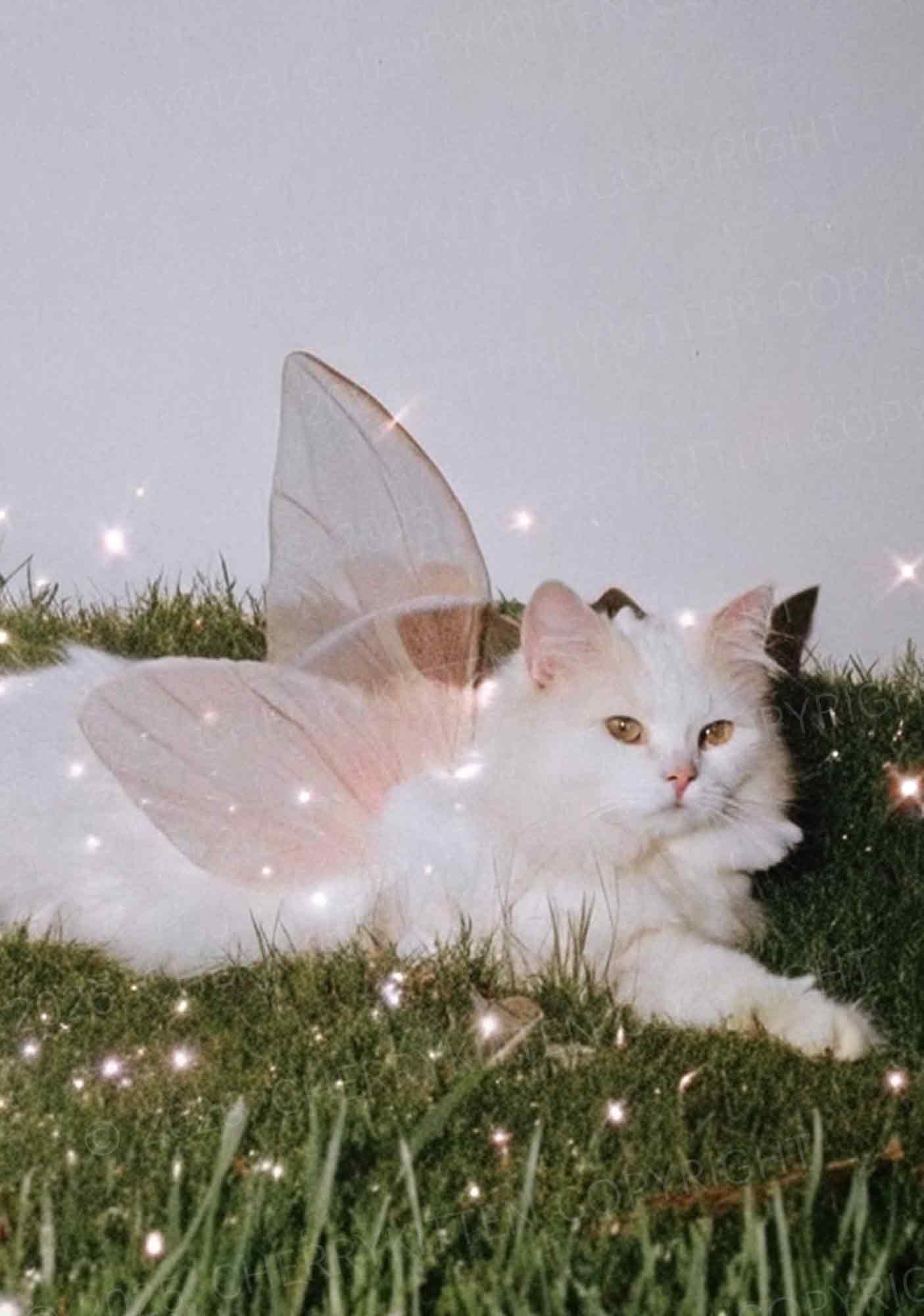 Fairy Cat Y2K Phone Case Cherrykitten