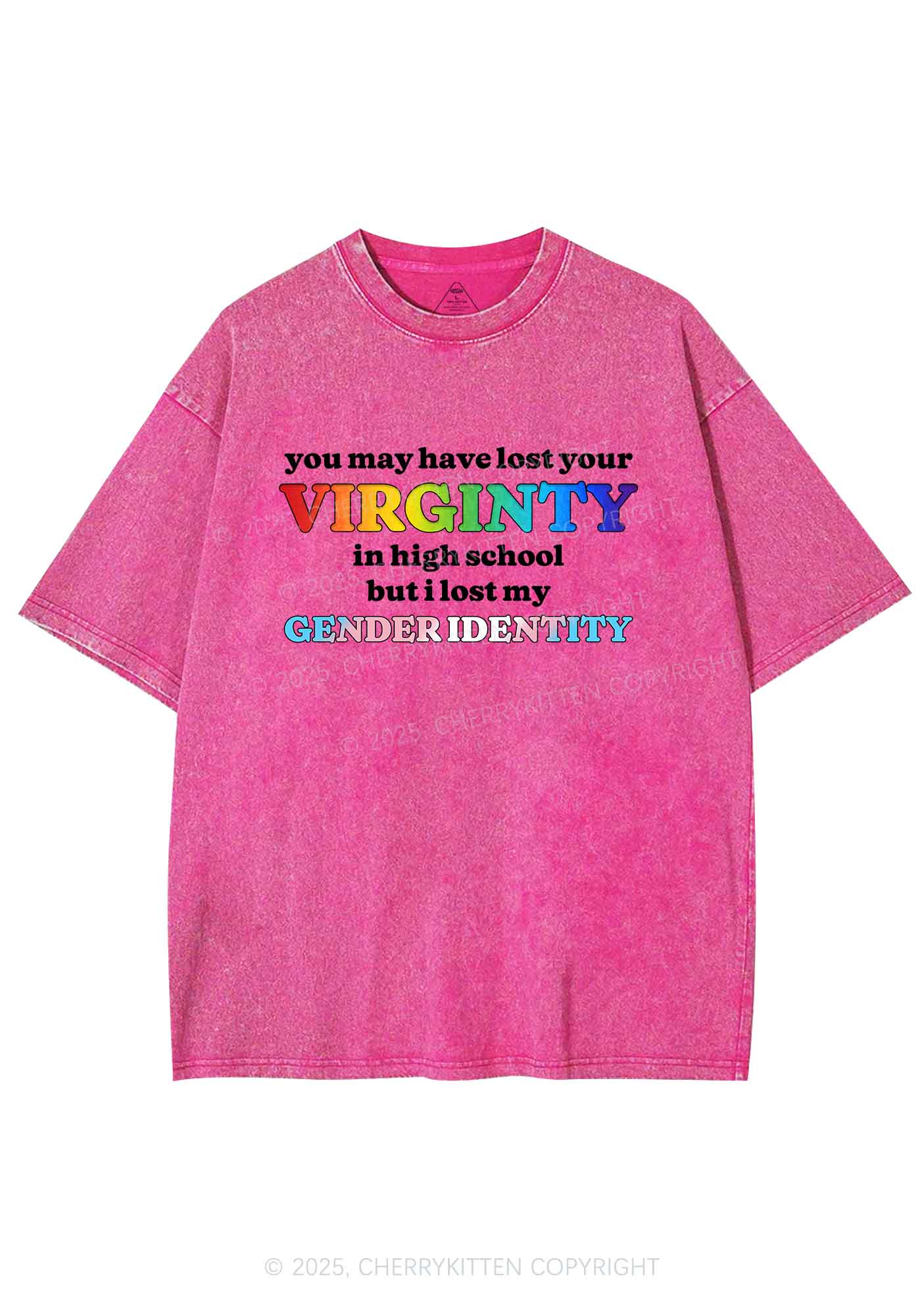 I Lost My Gender Identity Pride Y2K Shirts Washed Tee Cherrykitten