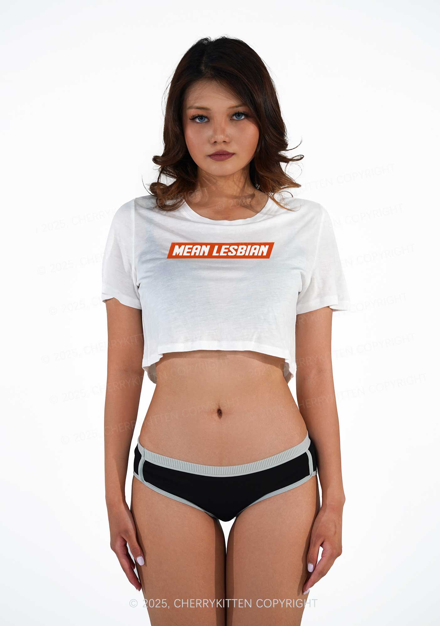 Mean Lesbian Pride Y2K Sheer Crop Tee Cherrykitten
