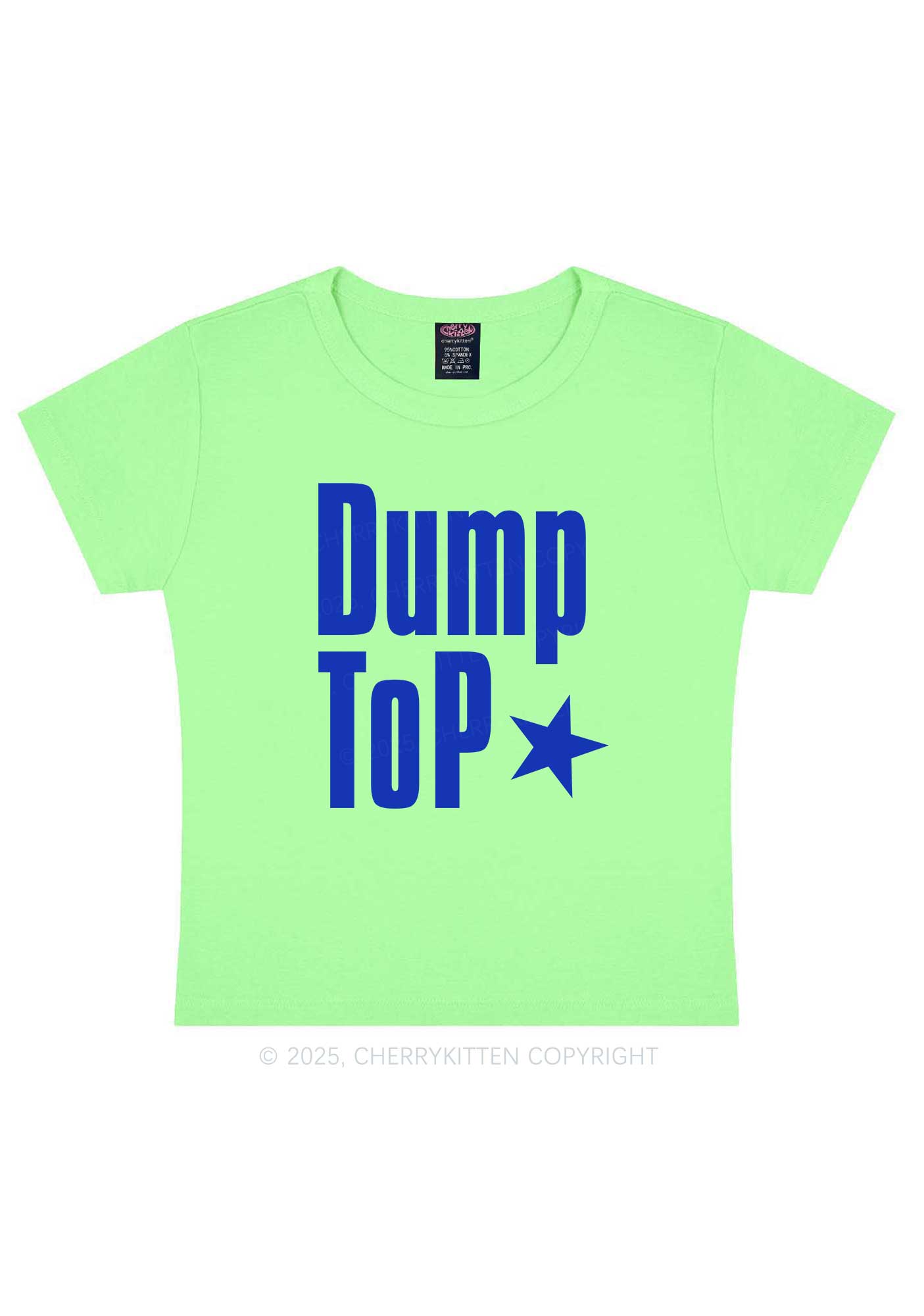 Dump Top Pride Y2K Baby Tee Cherrykitten