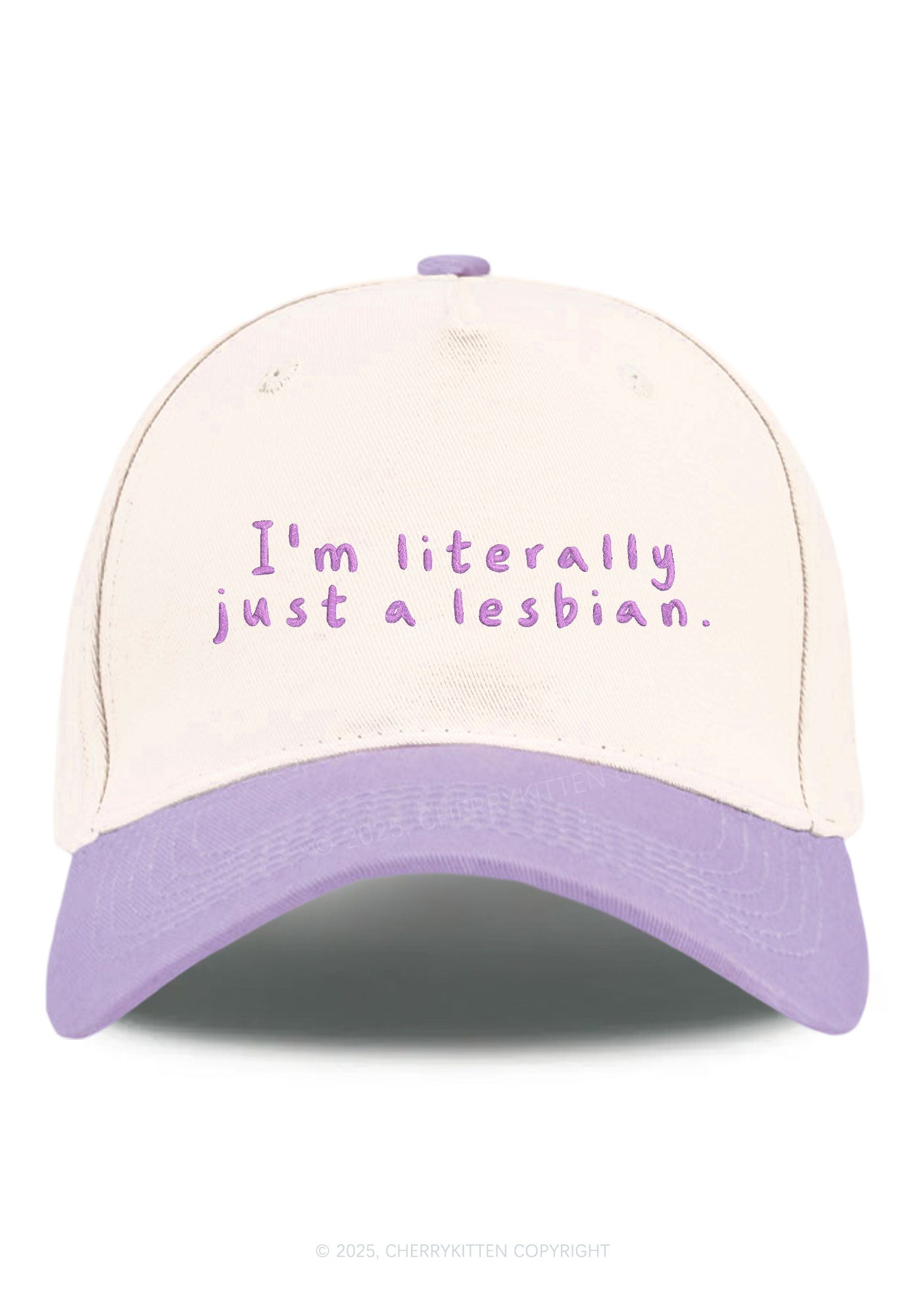 Embroidered Just A Lesbian Pride Y2K Color Block Baseball Cap Cherrykitten