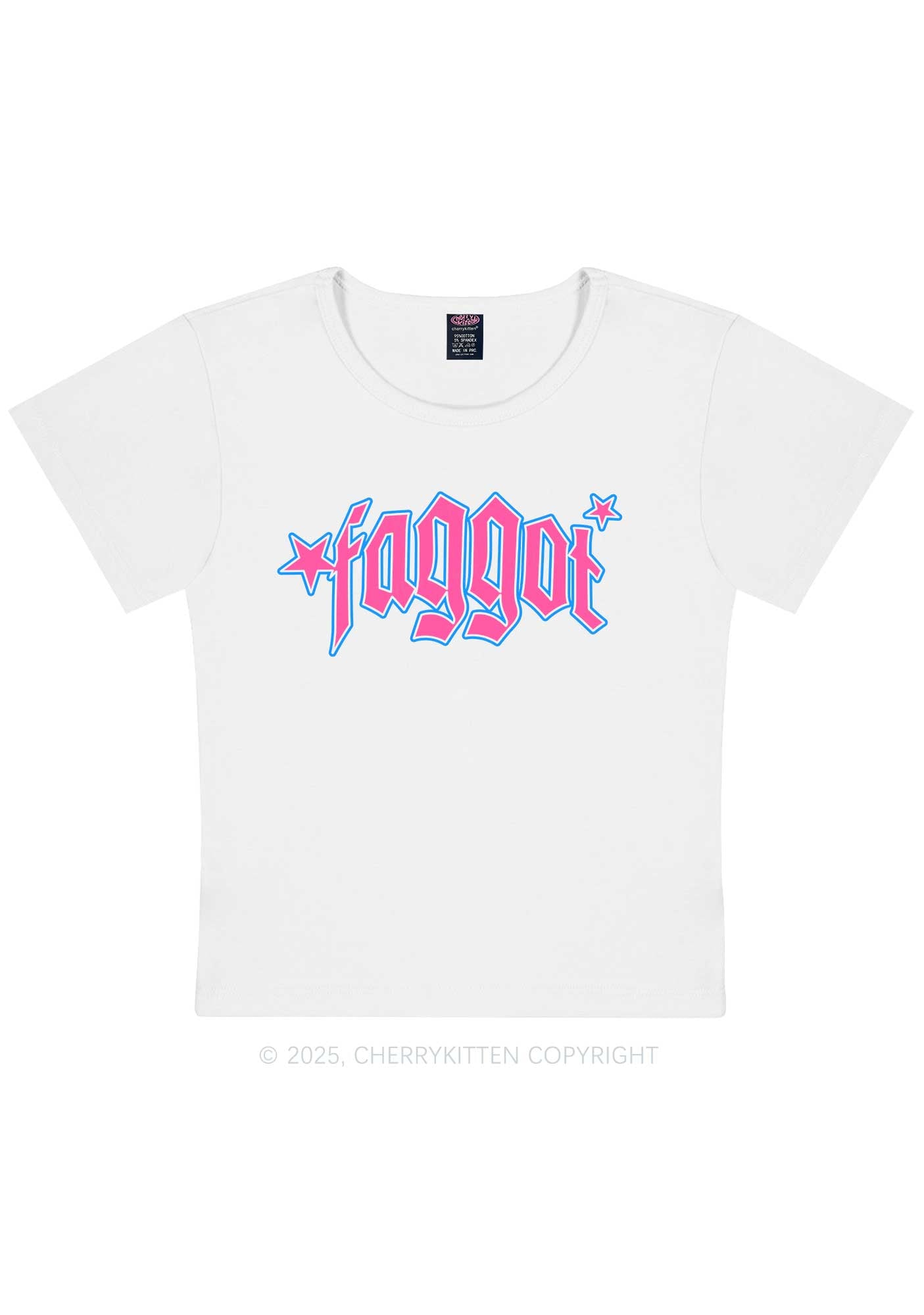 Faggot Stars Pride Y2K Baby Tee Cherrykitten