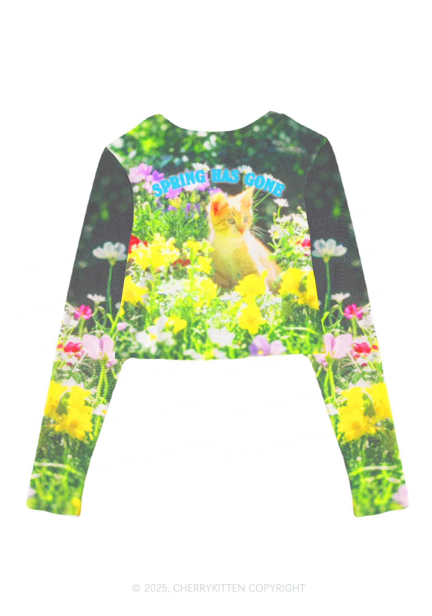 Spring Has Gone Y2K Mesh Long Sleeve Crop Top Cherrykitten