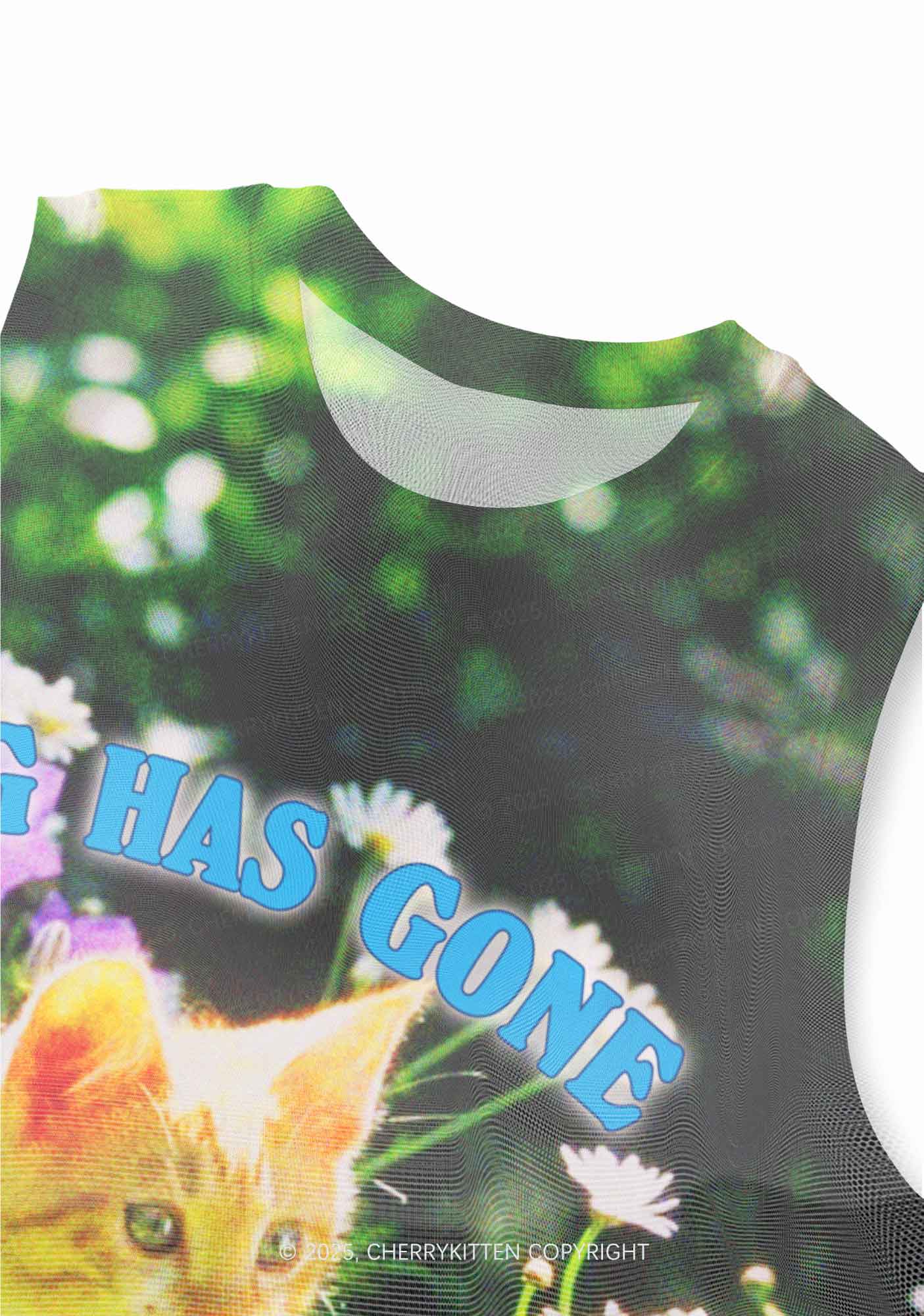 Spring Has Gone Y2K Mesh Muscle Tank Cherrykitten