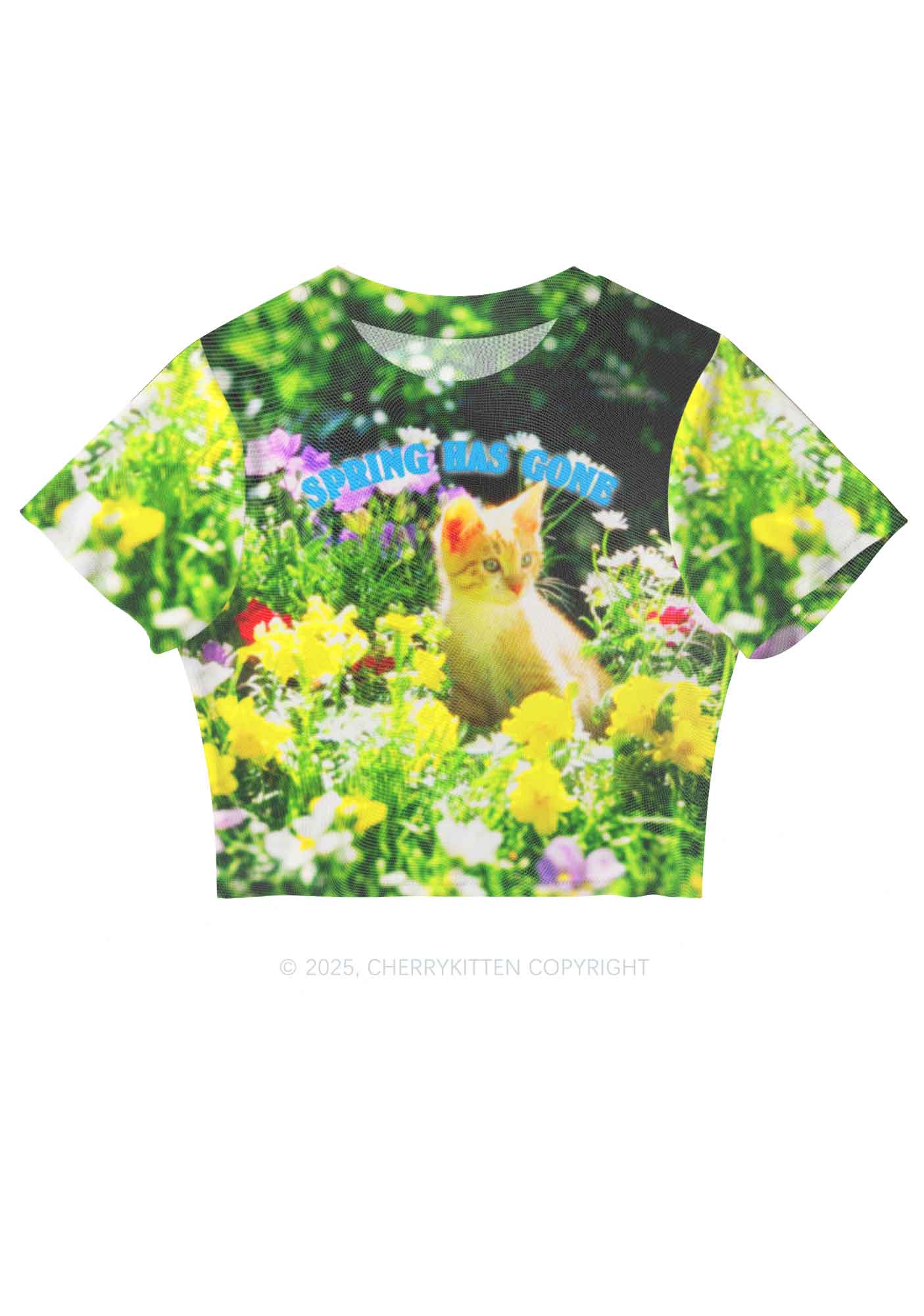 Spring Has Gone Y2K Mesh Crop Top Cherrykitten