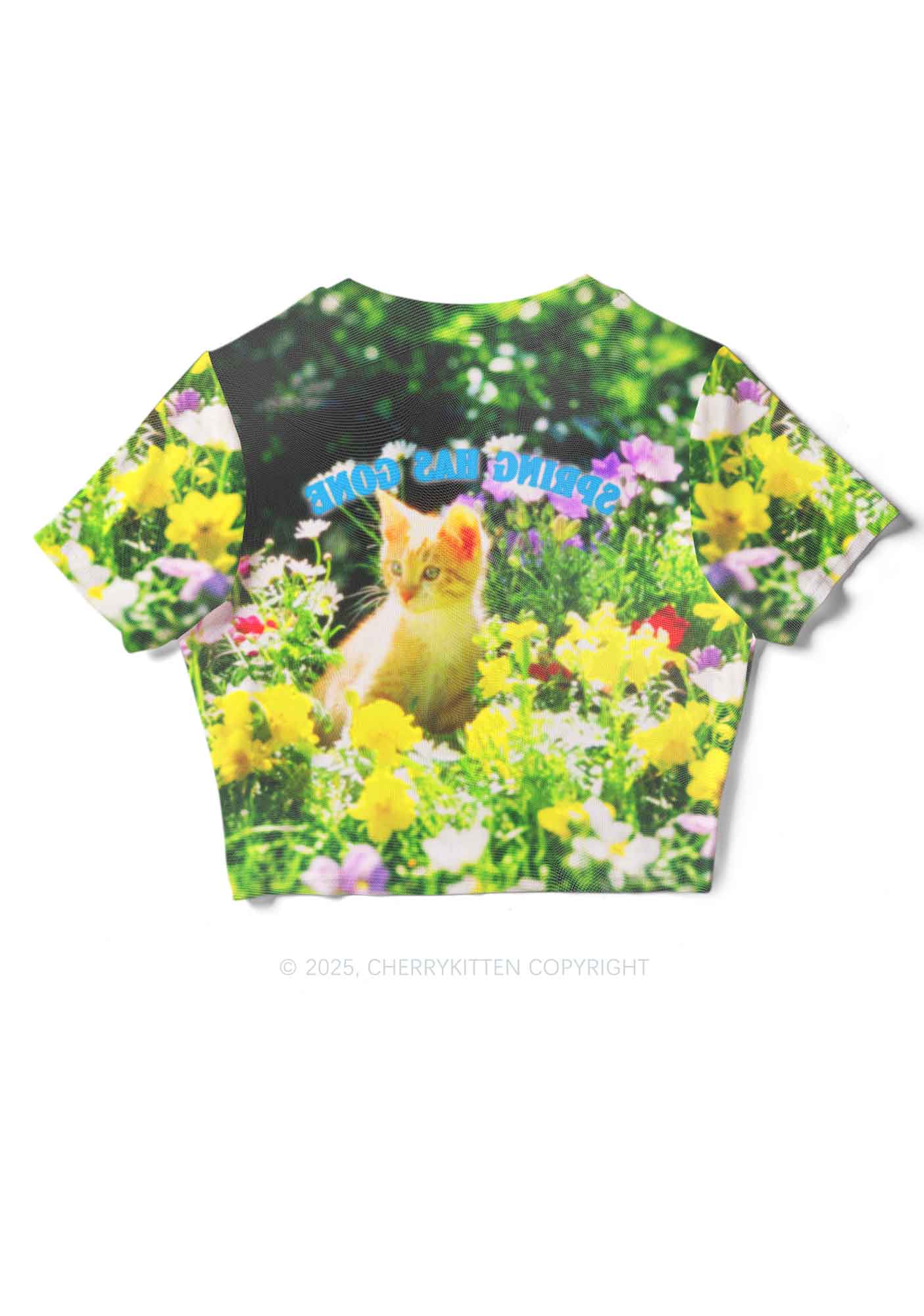 Spring Has Gone Y2K Mesh Crop Top Cherrykitten