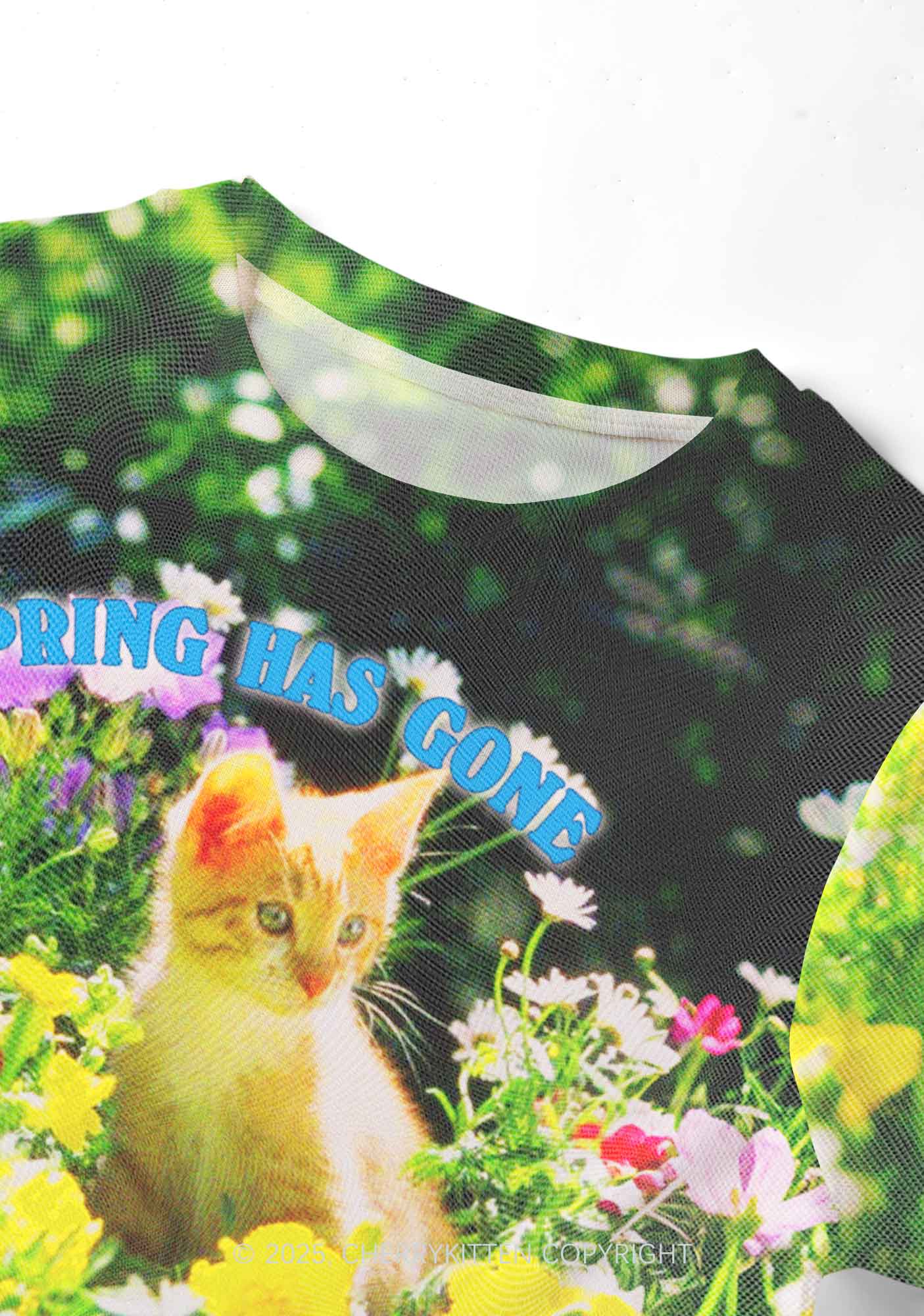 Spring Has Gone Y2K Mesh Crop Top Cherrykitten