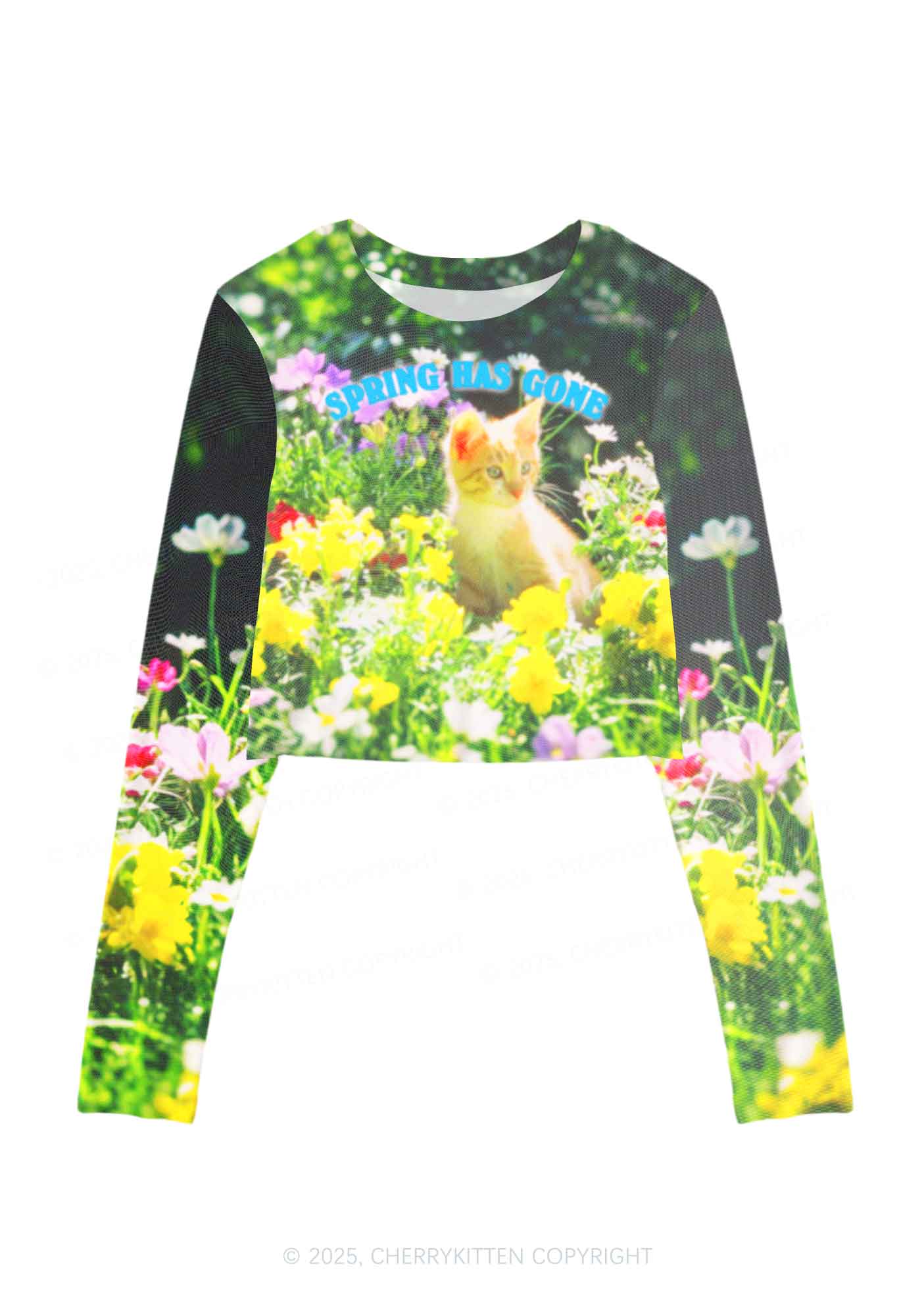 Spring Has Gone Y2K Mesh Long Sleeve Crop Top Cherrykitten