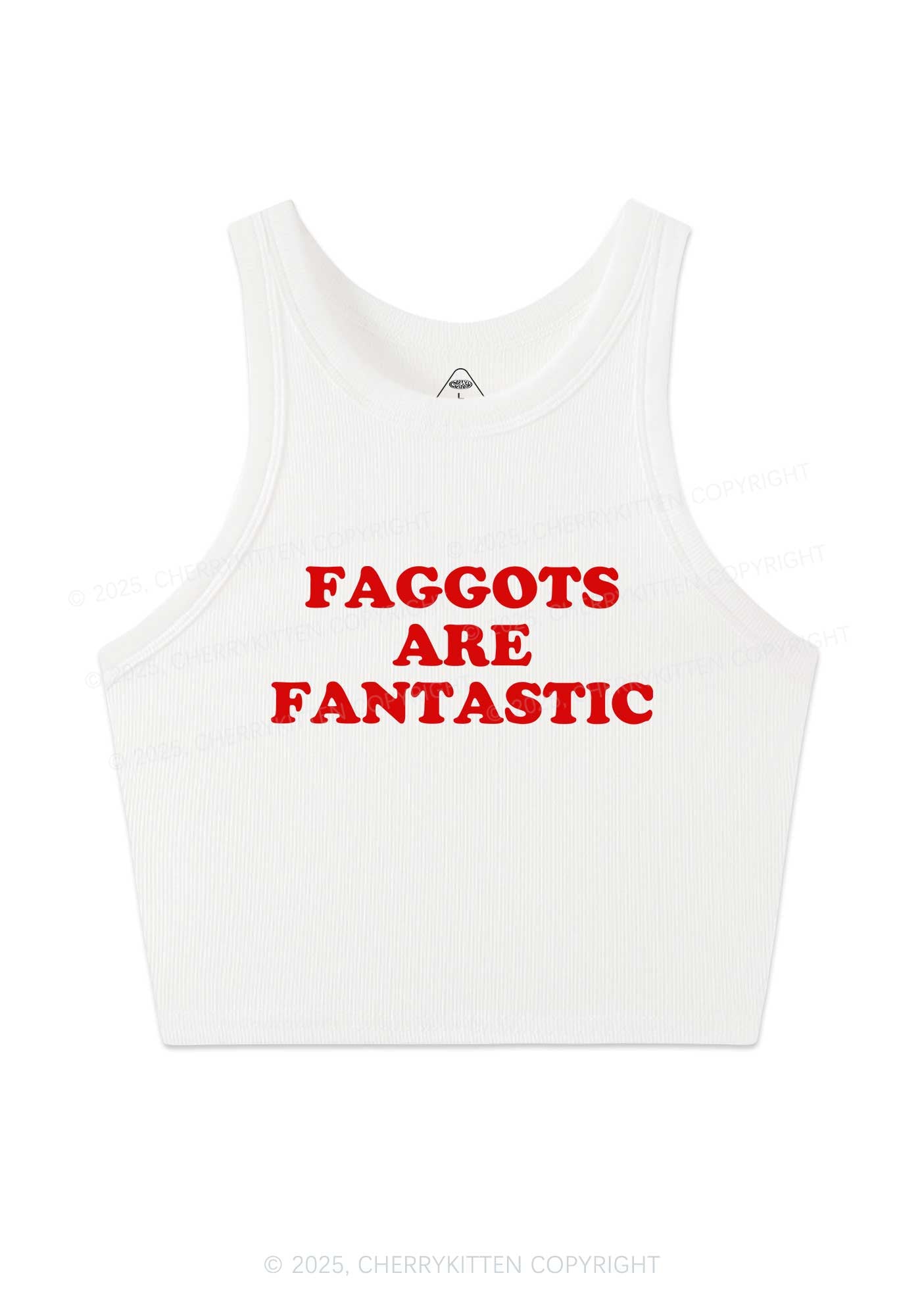 Faggots Are Fantastic Pride Y2K Crop Tank Top Cherrykitten