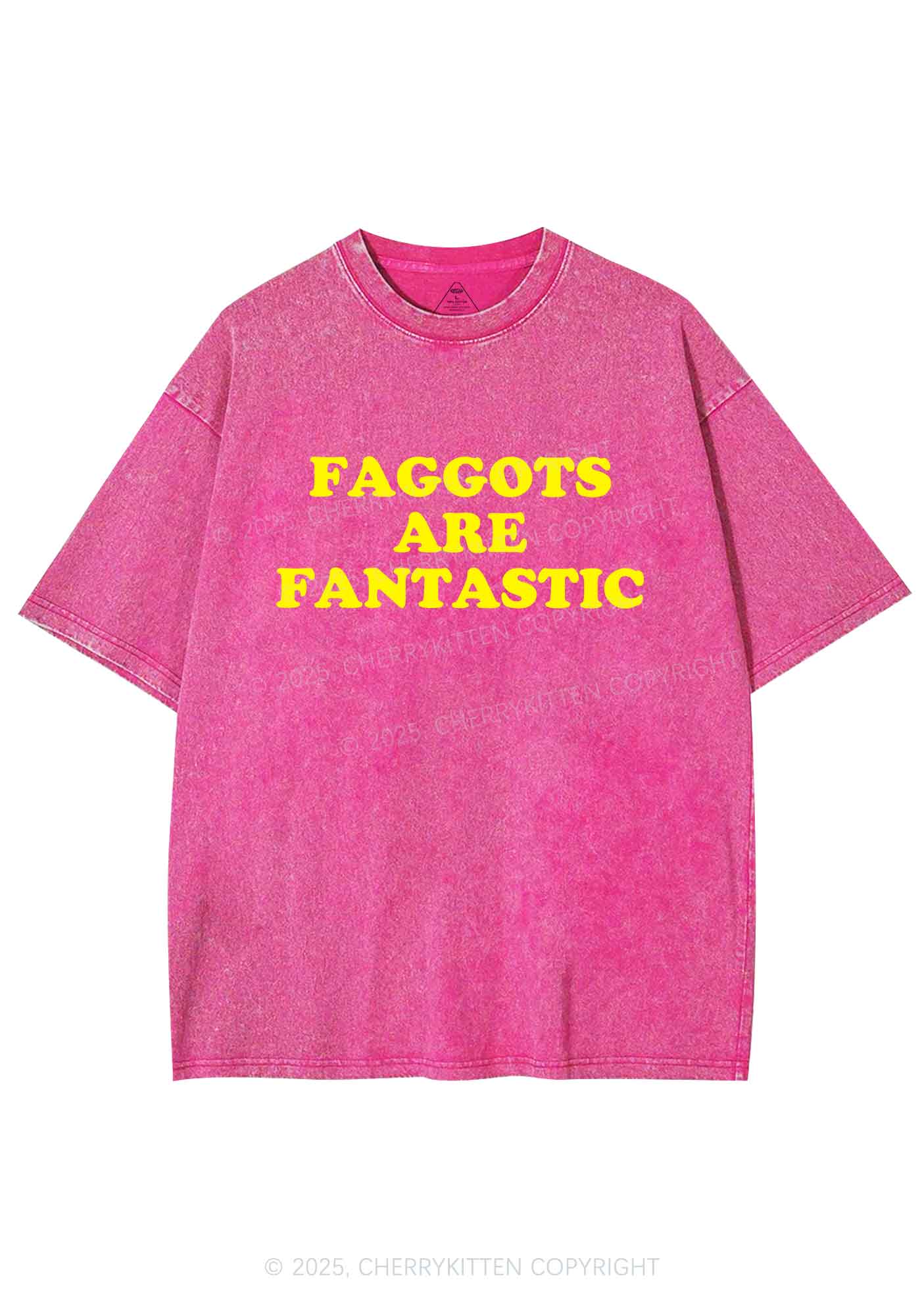 Faggots Are Fantastic Pride Y2K Shirts Washed Tee Cherrykitten