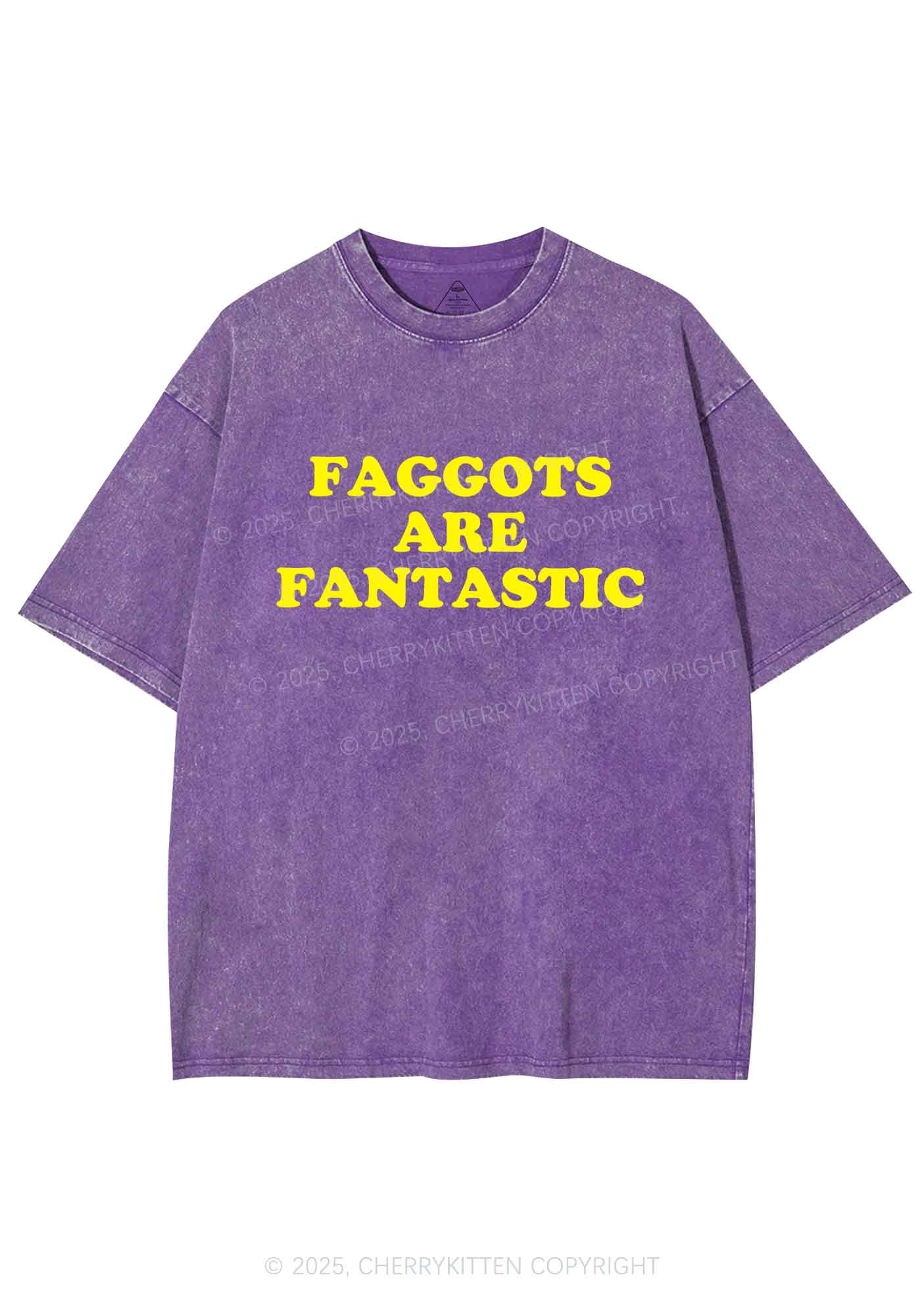 Faggots Are Fantastic Pride Y2K Shirts Washed Tee Cherrykitten