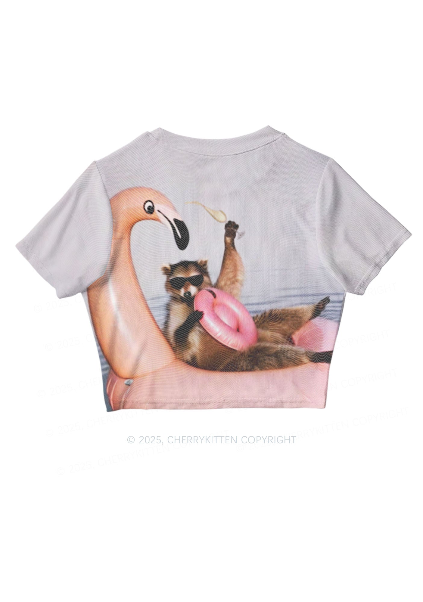 Flamingo Raccoon Y2K Mesh Crop Top Cherrykitten