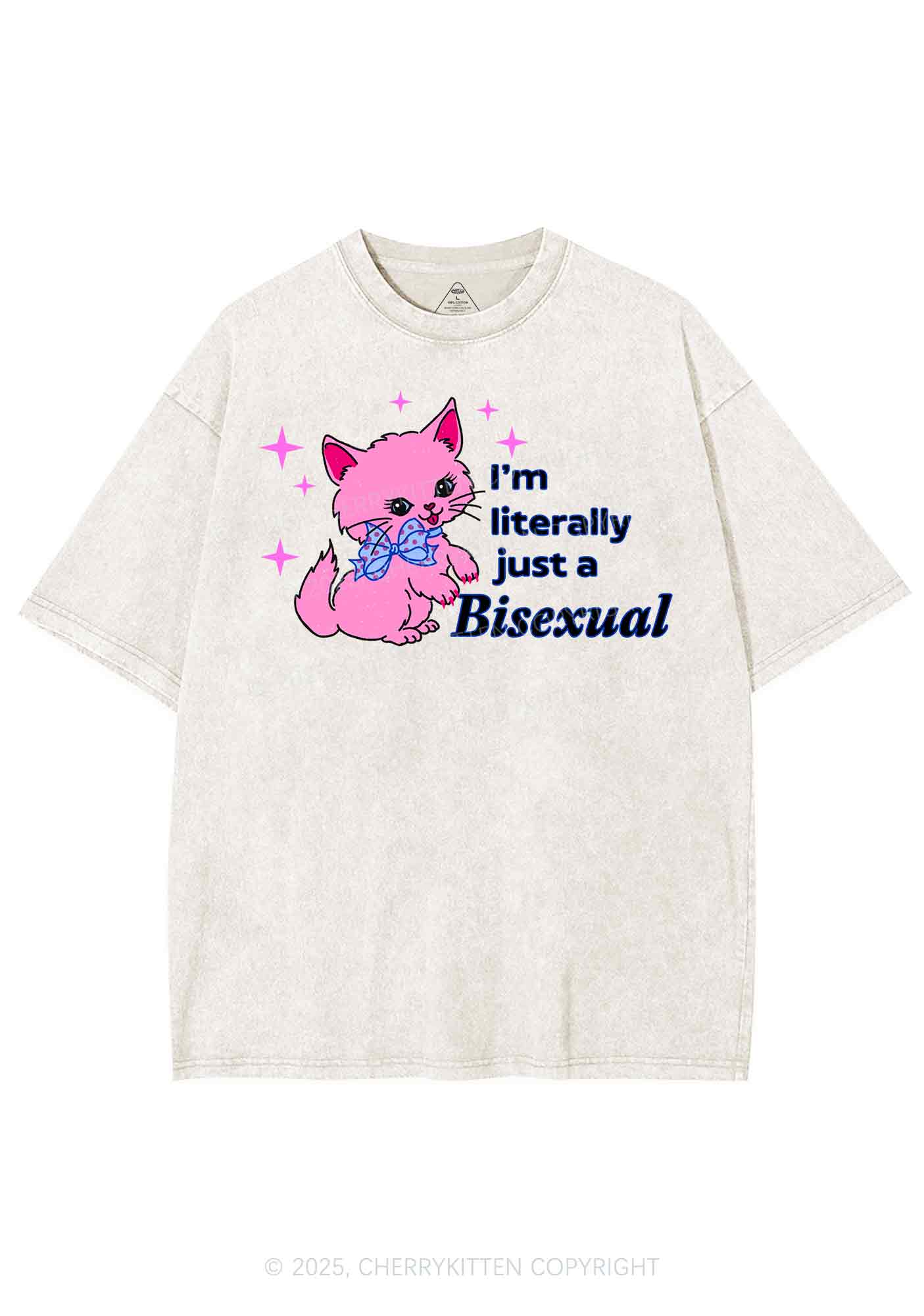Literally Just A Bisexual Pride Y2K Shirts Washed Tee Cherrykitten