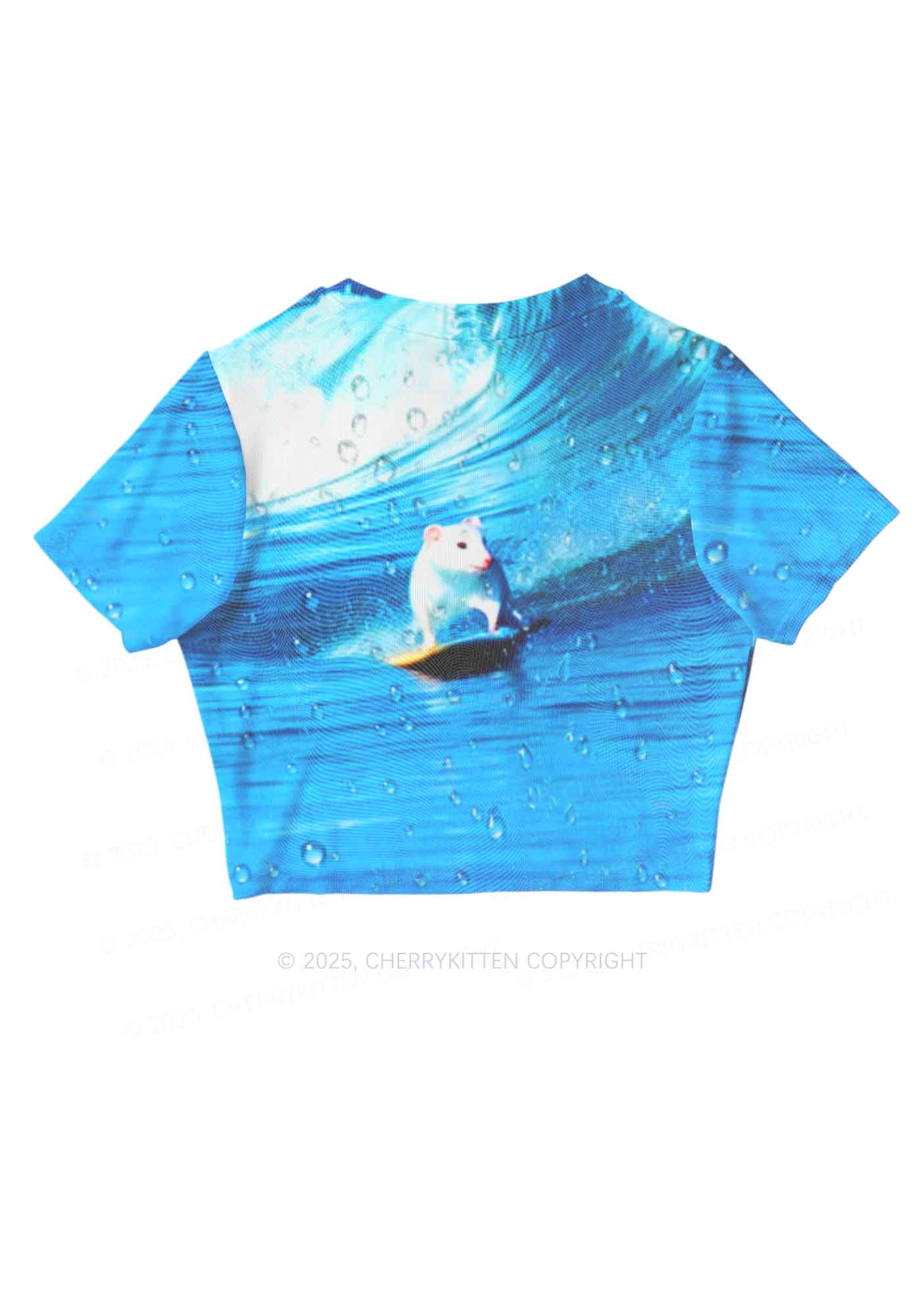 Surfing Mouse Y2K Mesh Crop Top Cherrykitten
