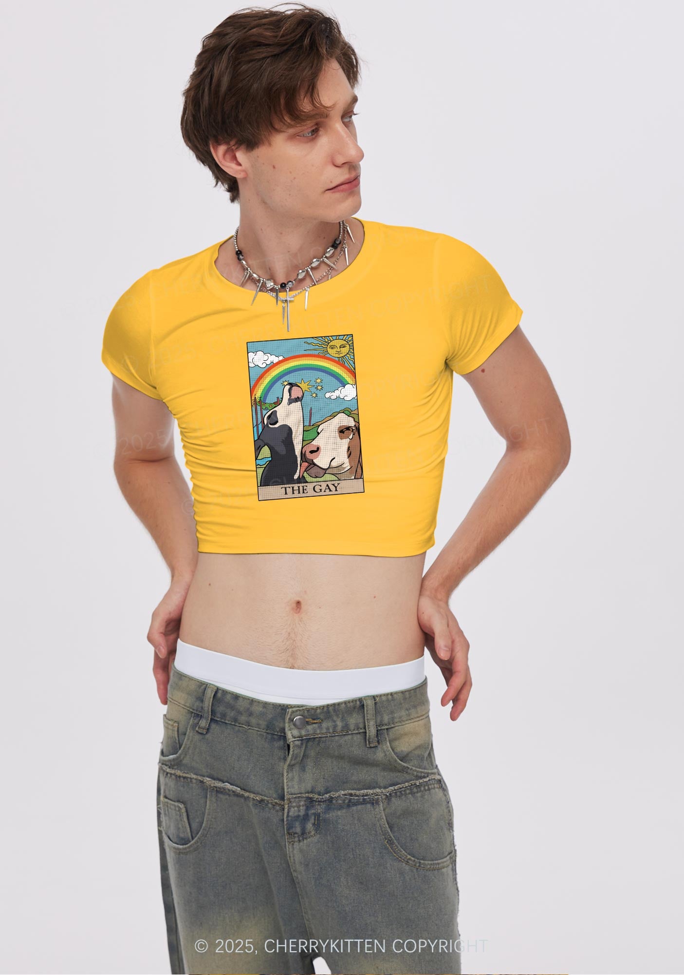 The Gay Pride Y2K Baby Tee Cherrykitten