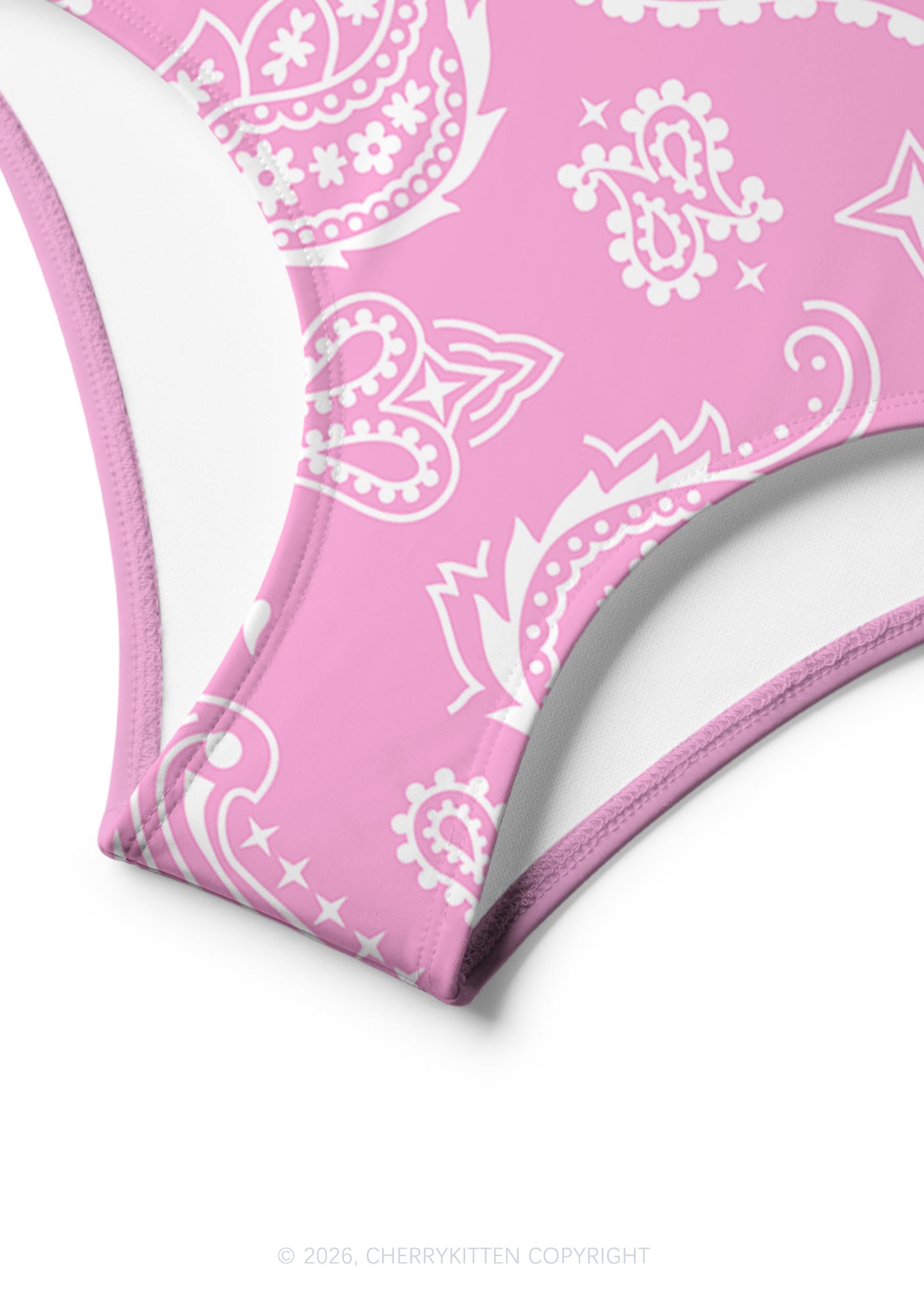 Pink Paisley Y2K Print Bikini Set Cherrykitten