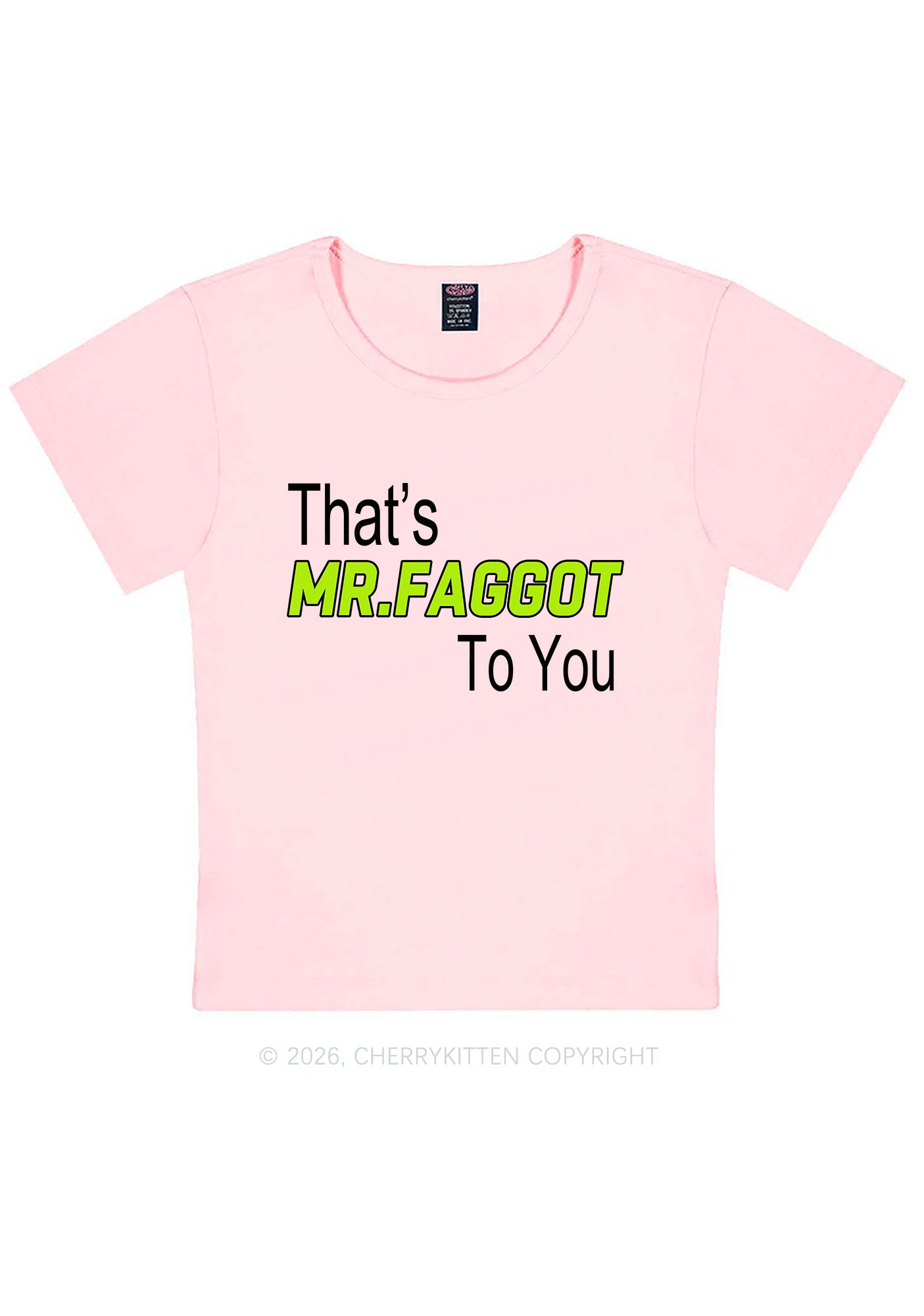 Thats Mr Faggot To You Pride Y2K Baby Tee Cherrykitten