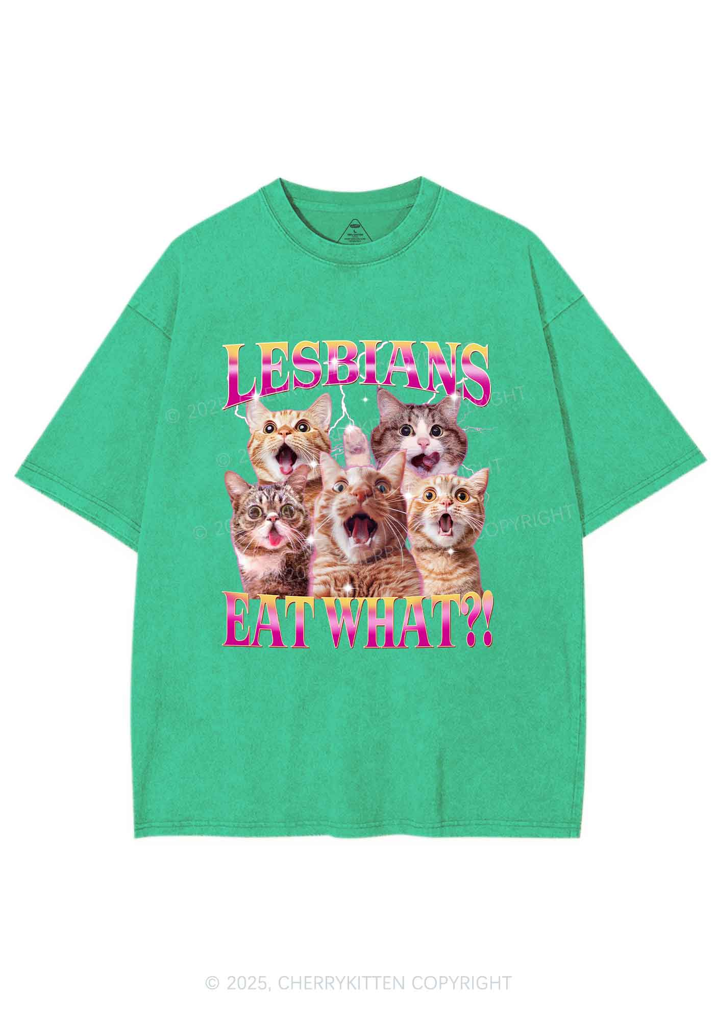 Funny Lesbian Cat Y2K Shirts Washed Tee Cherrykitten