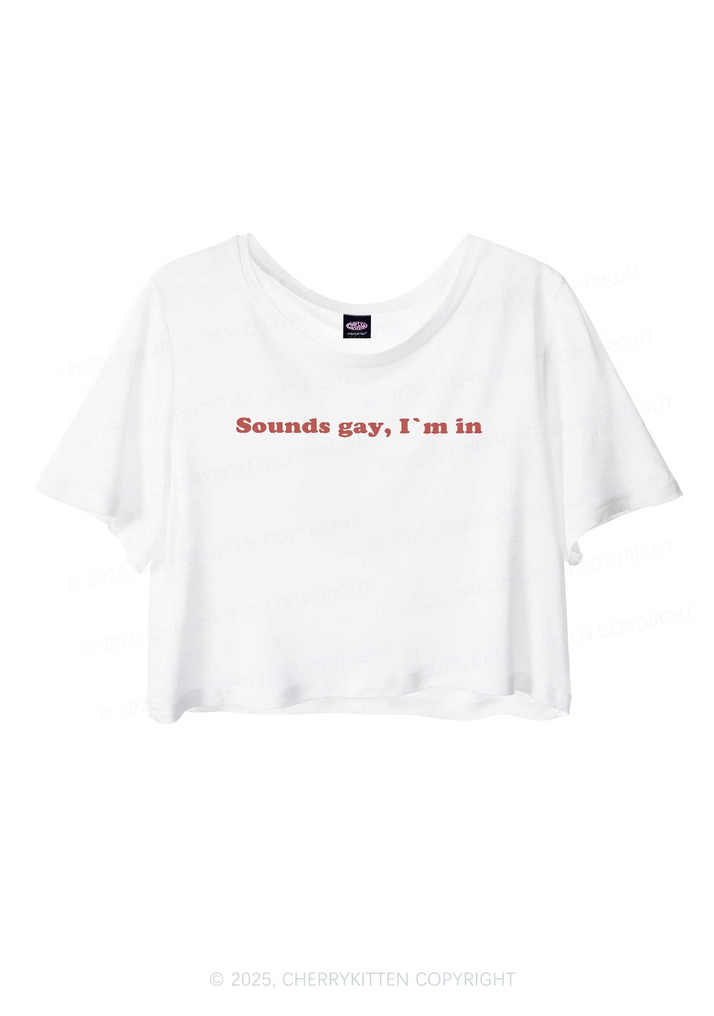 Sounds Gay Pride Y2K Sheer Crop Tee Cherrykitten