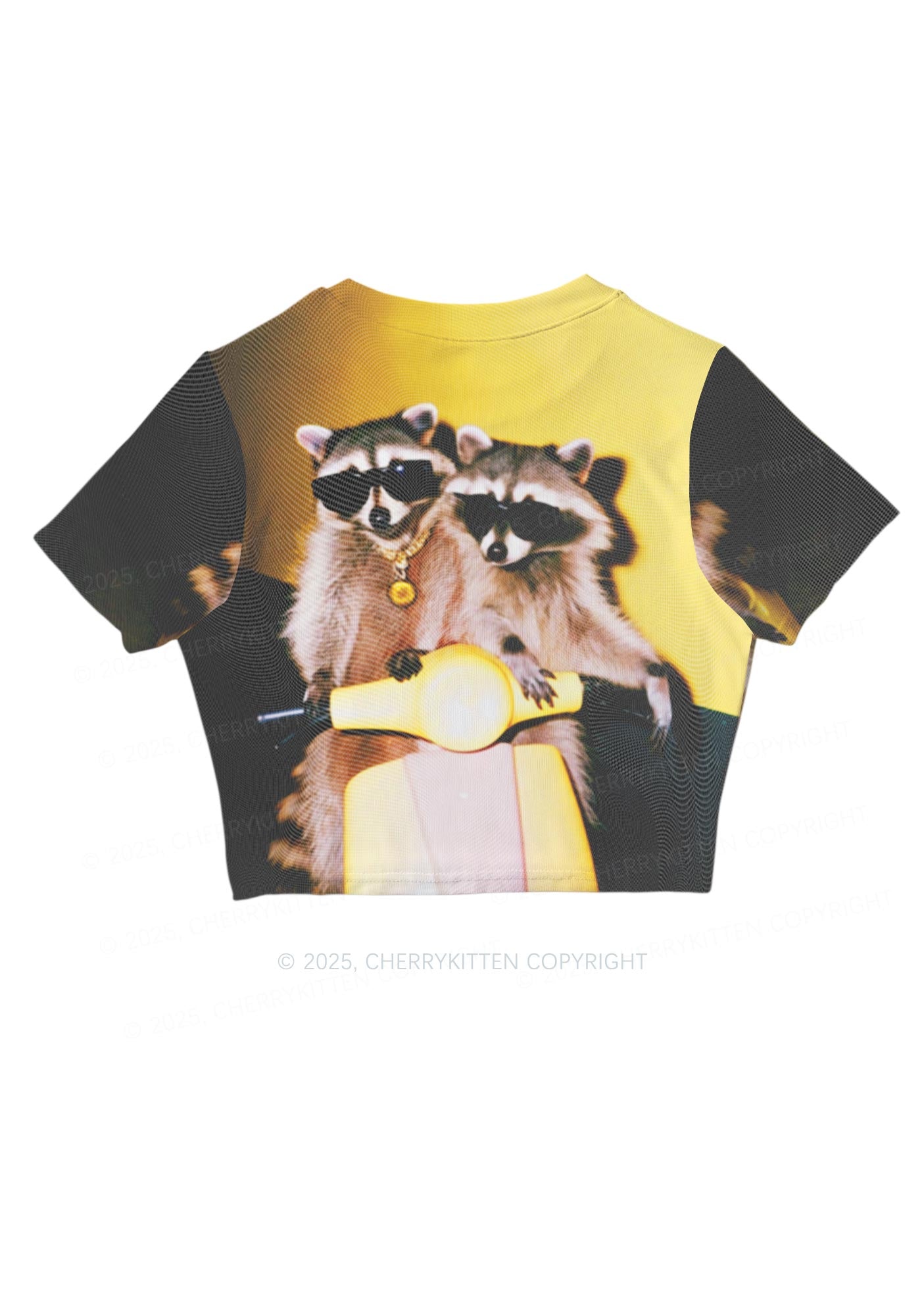 Raccoon Riders Y2K Mesh Crop Top Cherrykitten