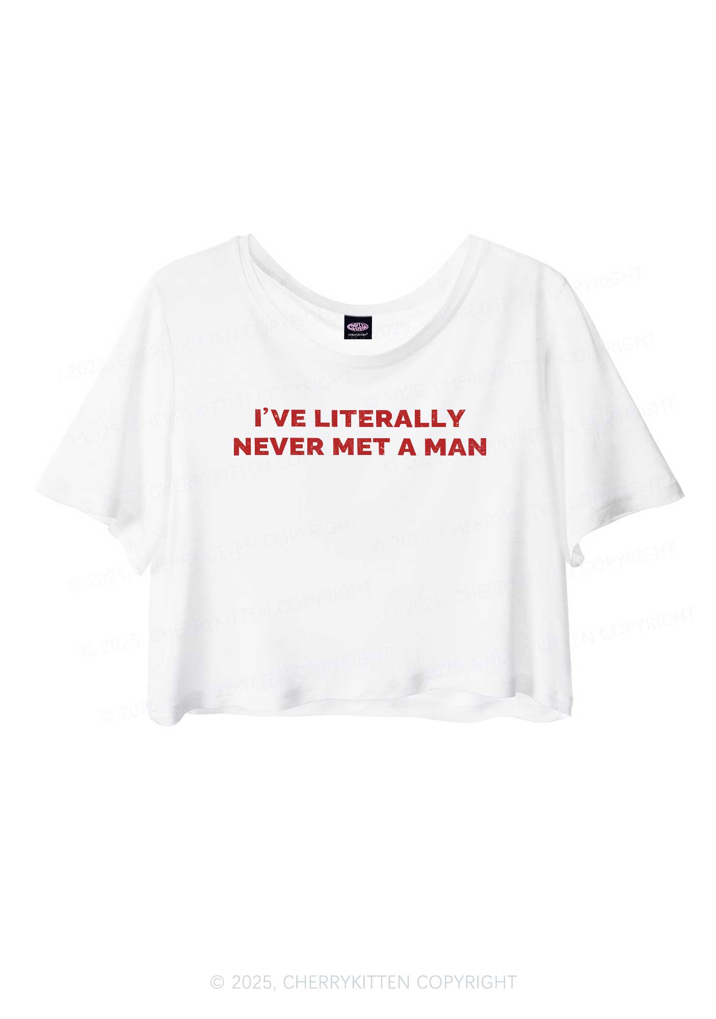 Never Met A Man Pride Y2K Sheer Crop Tee Cherrykitten