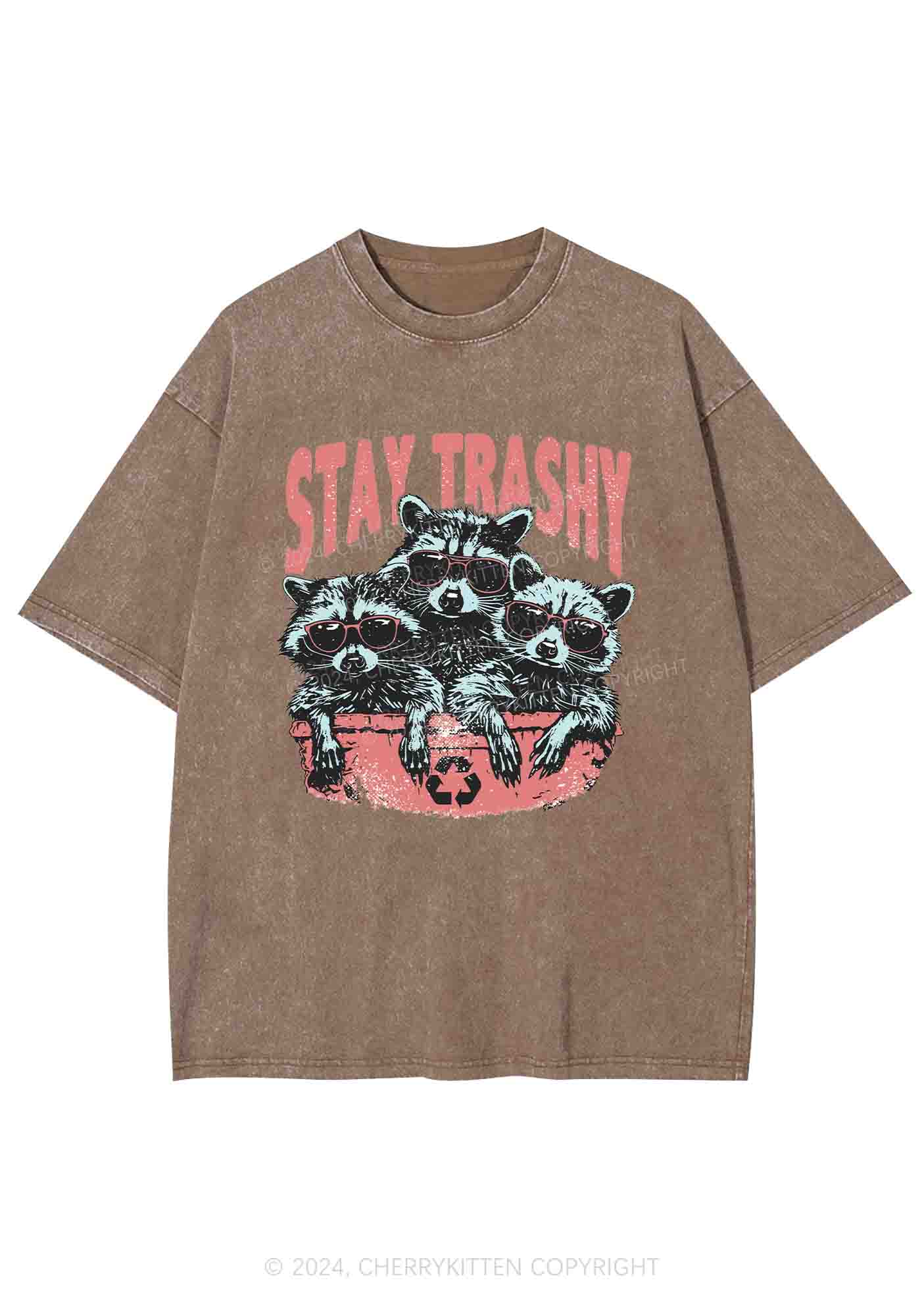 Stay Trashy Raccoons Y2K Washed Tee Cherrykitten