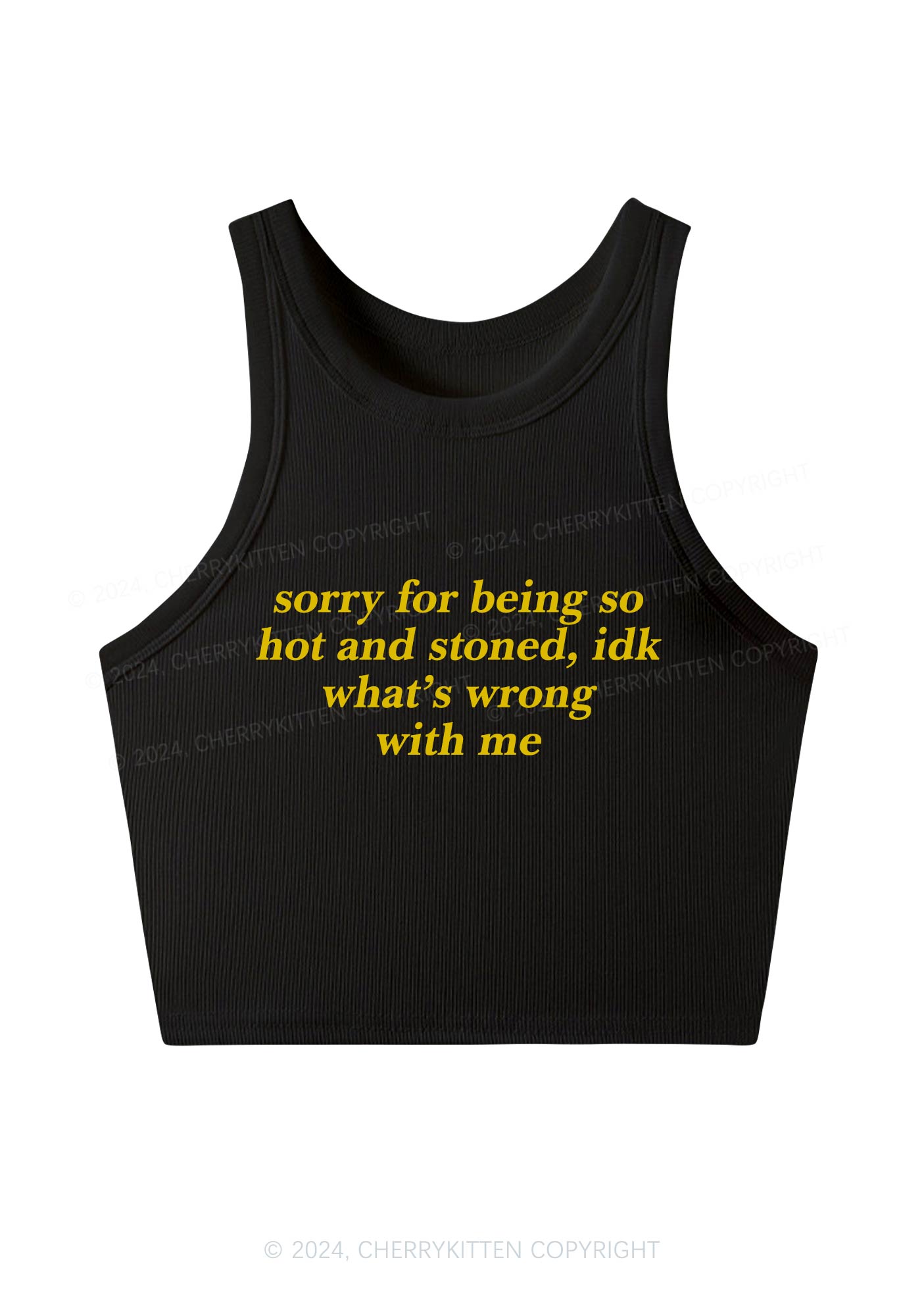 Sorry For Being Hot And Stoned Y2K Crop Tank Top Cherrykitten