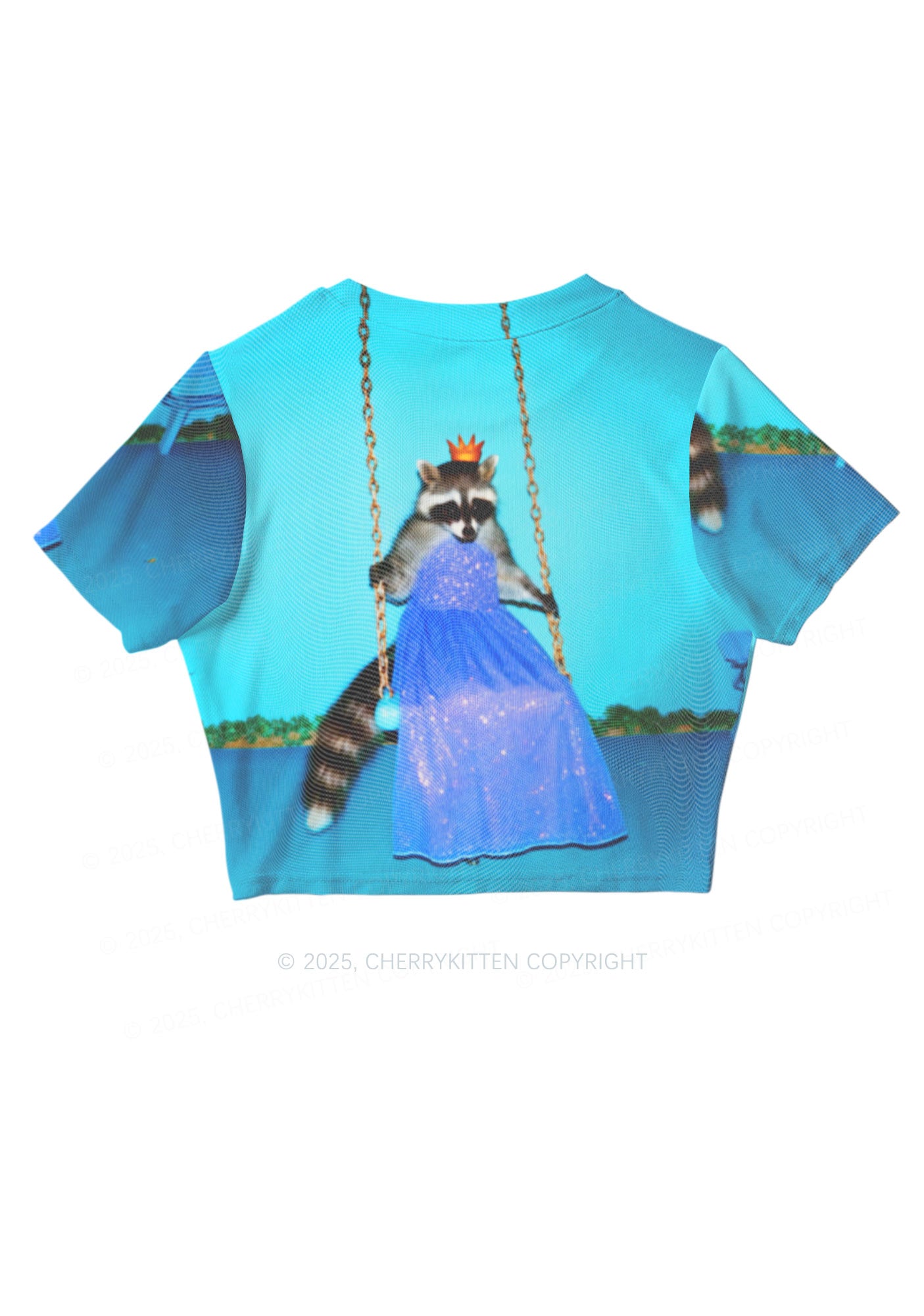 Princess Raccoon Y2K Mesh Crop Top Cherrykitten