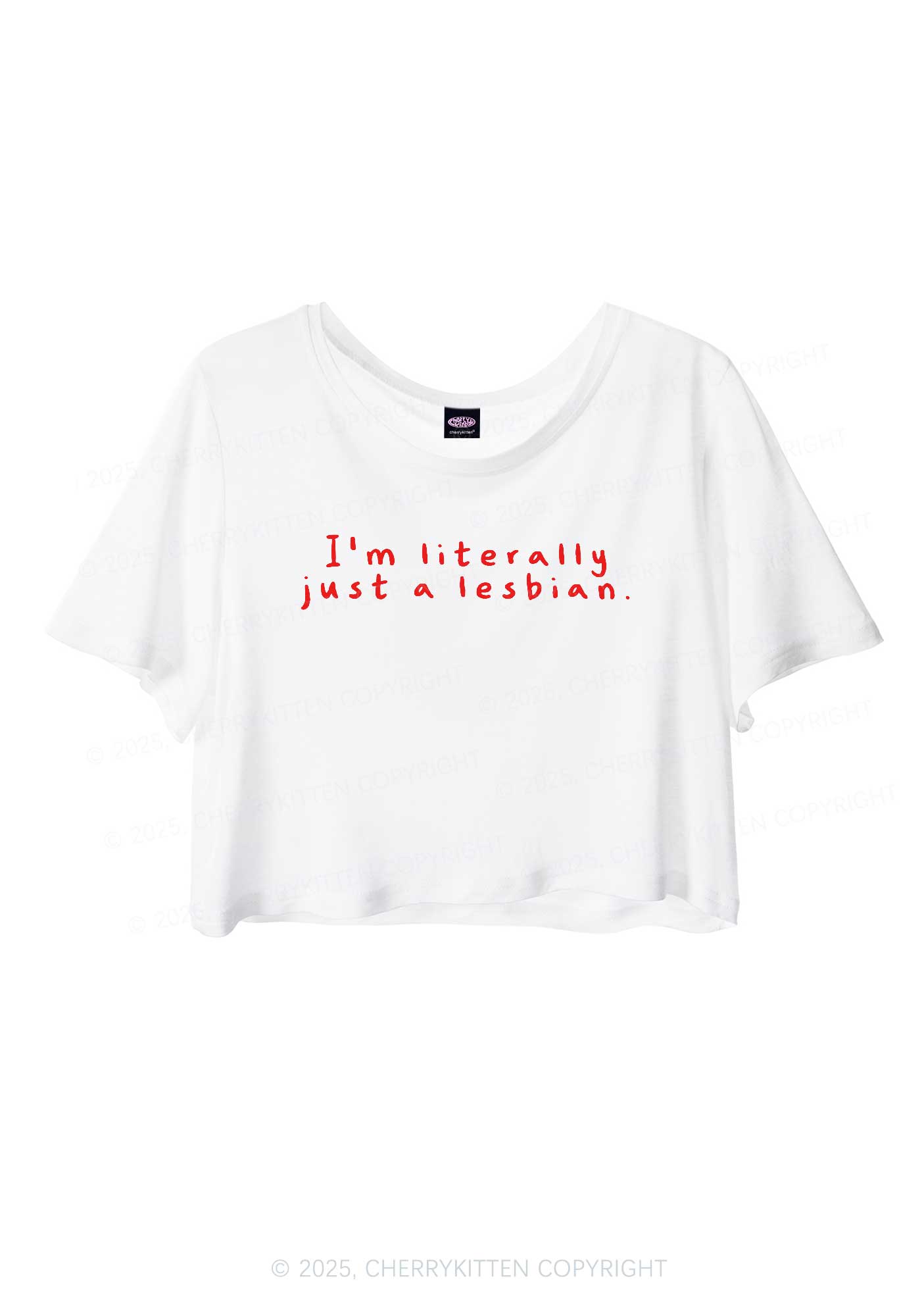 Just A Lesbian Pride Y2K Sheer Crop Tee Cherrykitten