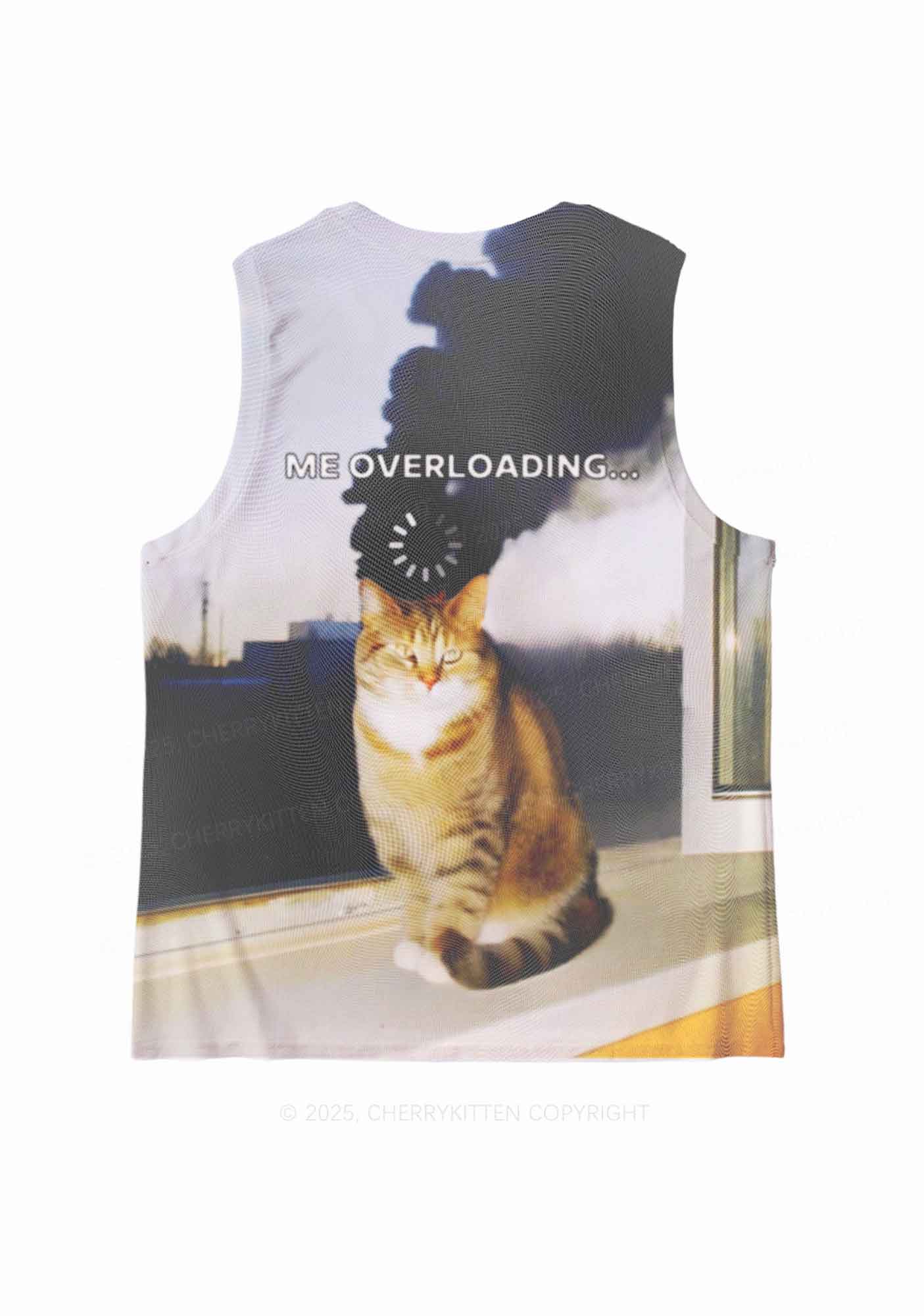 The Overloading Cat Y2K Mesh Muscle Tank Cherrykitten