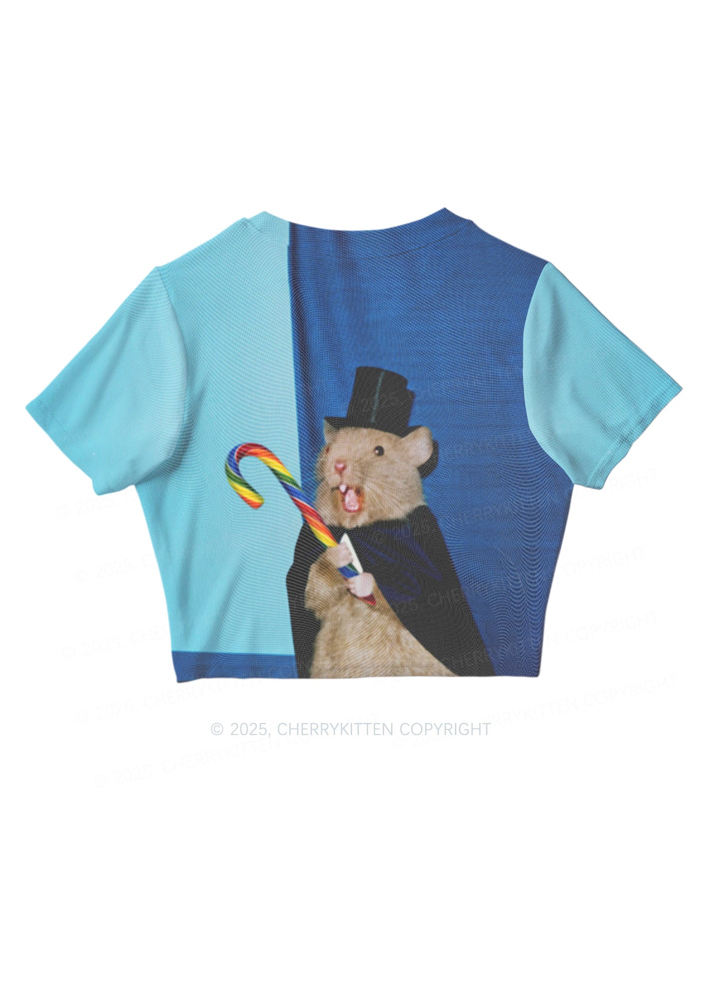 Gentleman Ratz Y2K Mesh Crop Top Cherrykitten