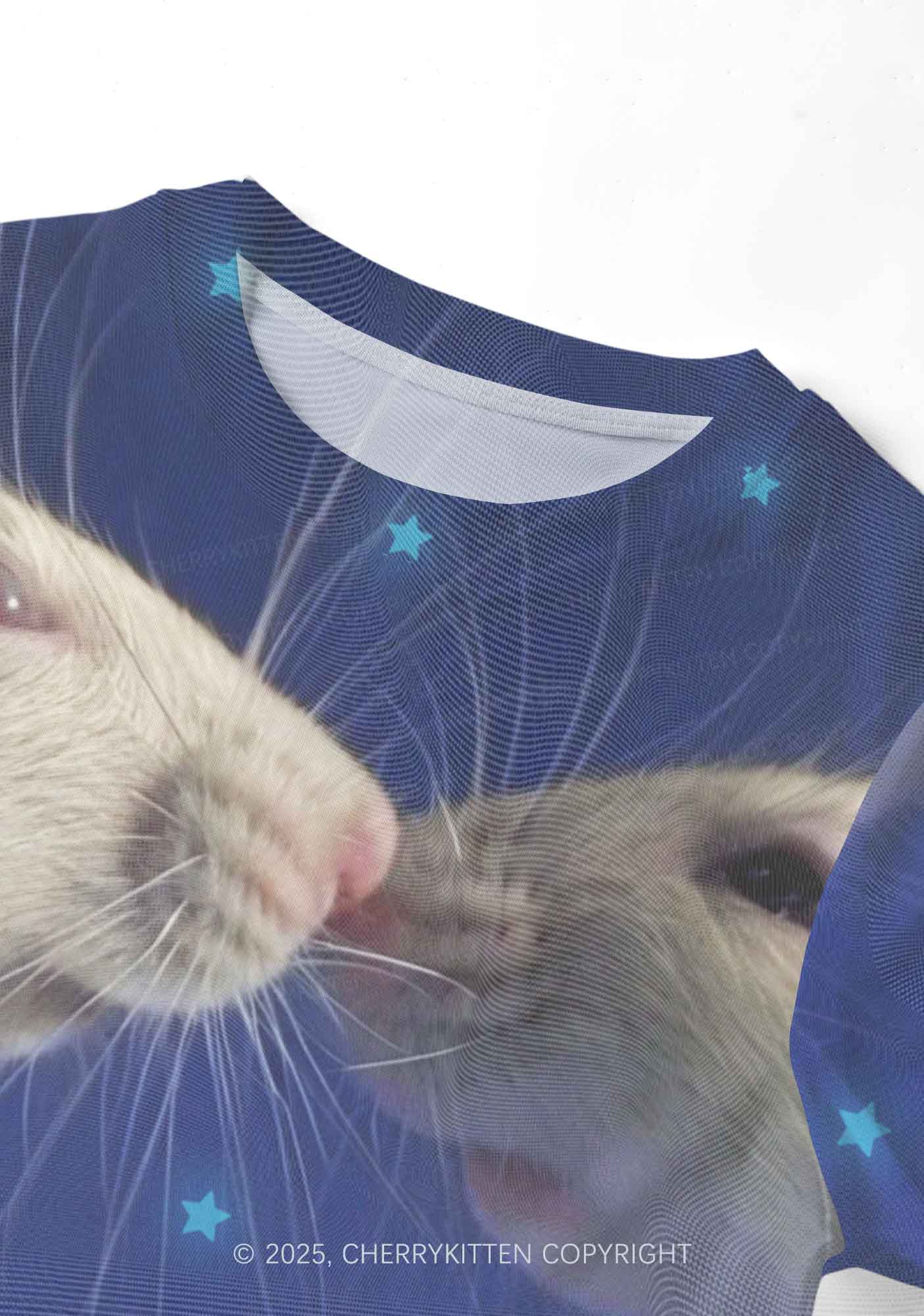 Kissing Rats Y2K Mesh Crop Top Cherrykitten
