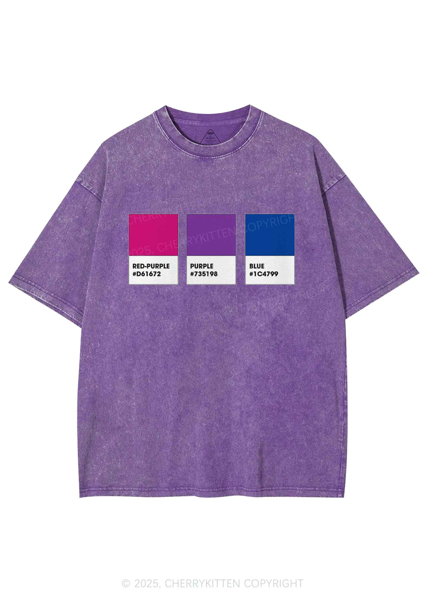 Bisexual Flag Colors Pride Y2K Shirts Washed Tee Cherrykitten