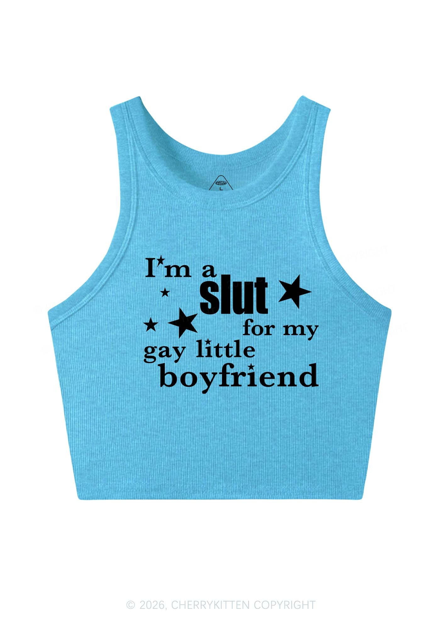 Slxt For My Gay Little BF Pride Y2K Crop Tank Top Cherrykitten