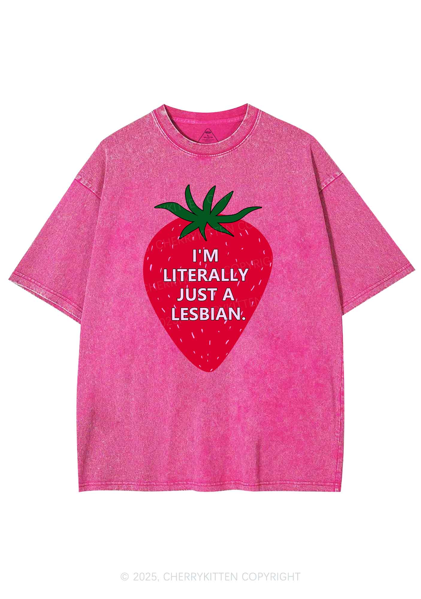 Lesbian Strawberry Pride Y2K Shirts Washed Tee Cherrykitten