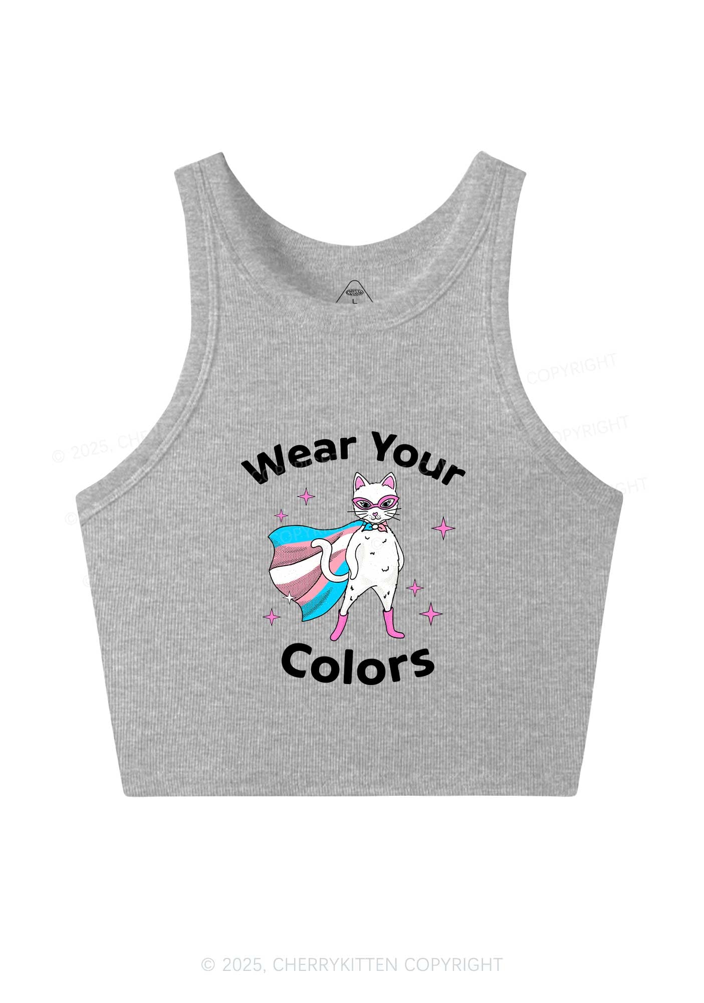 Transgender Flag Cat Pride Y2K Crop Tank Top Cherrykitten